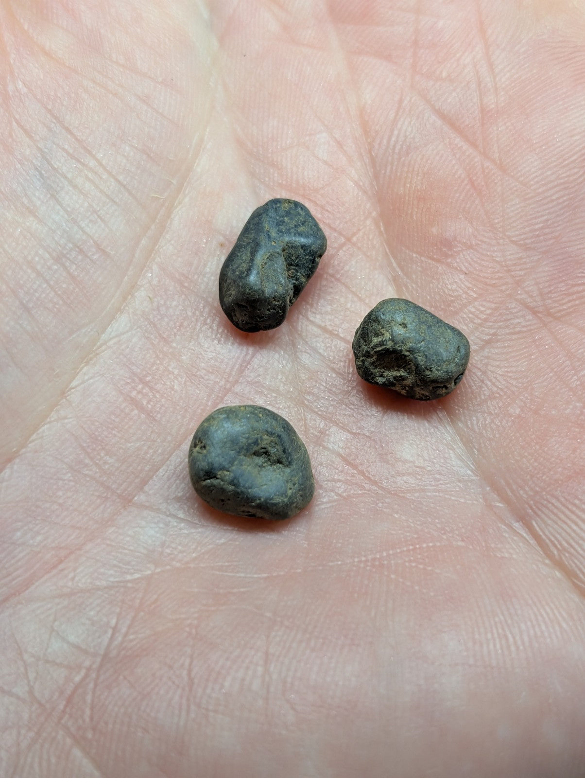 Three dark, irregularly shaped metallic objects resting in the palm of a hand.