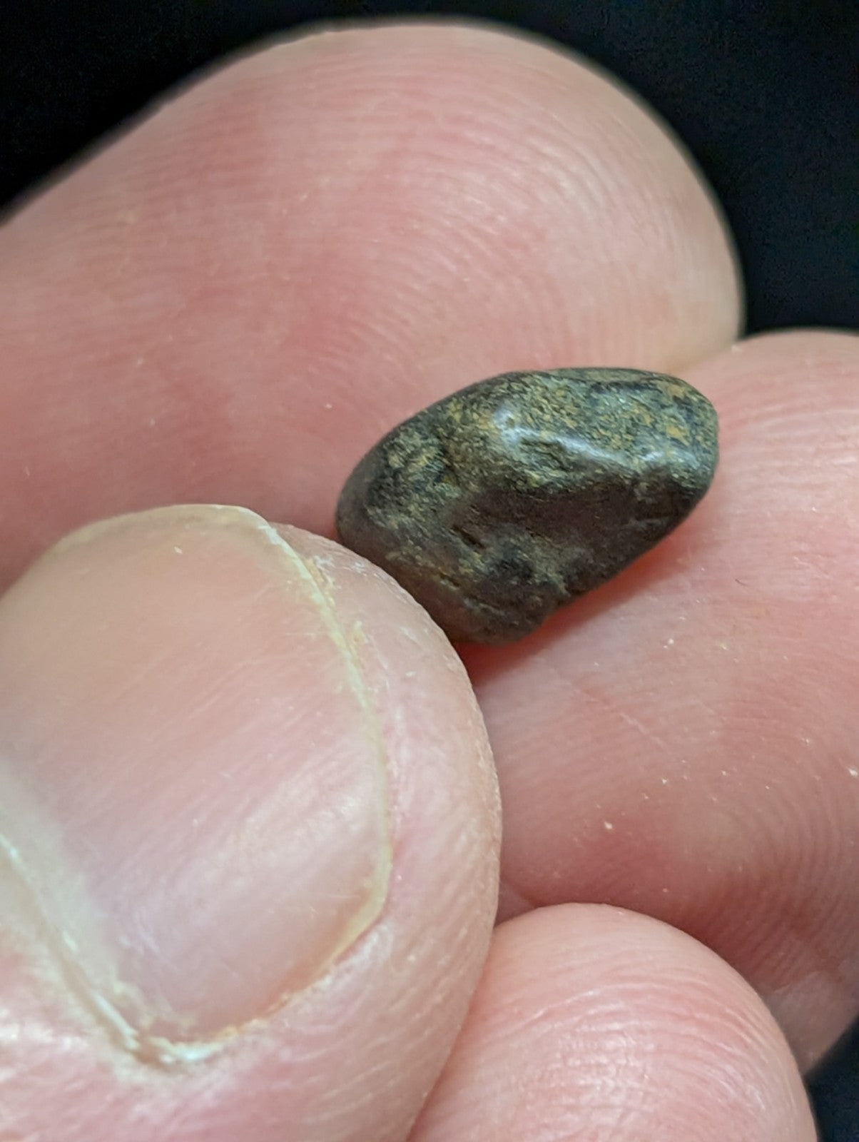 A small, smooth, dark greenish-gray stone with a slightly rough texture and natural irregular shape.