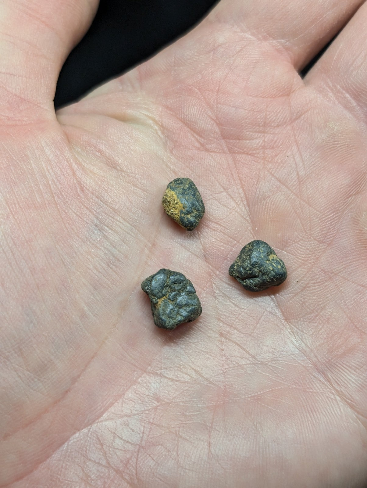Three small, irregularly shaped dark green stones with patches of yellowish mineral coating rest in the palm.