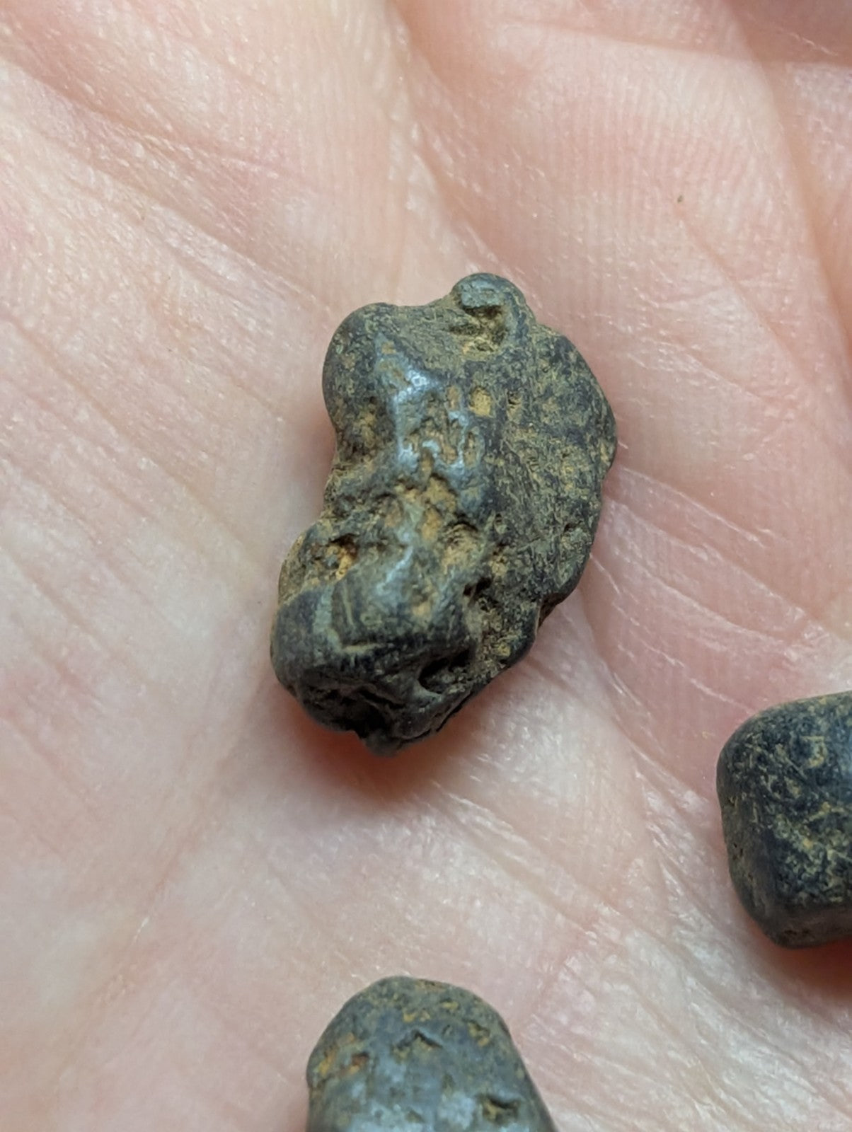 A rough, irregularly shaped dark greenish-gray rock with patches of yellow and brown mineral streaks resting in the palm.