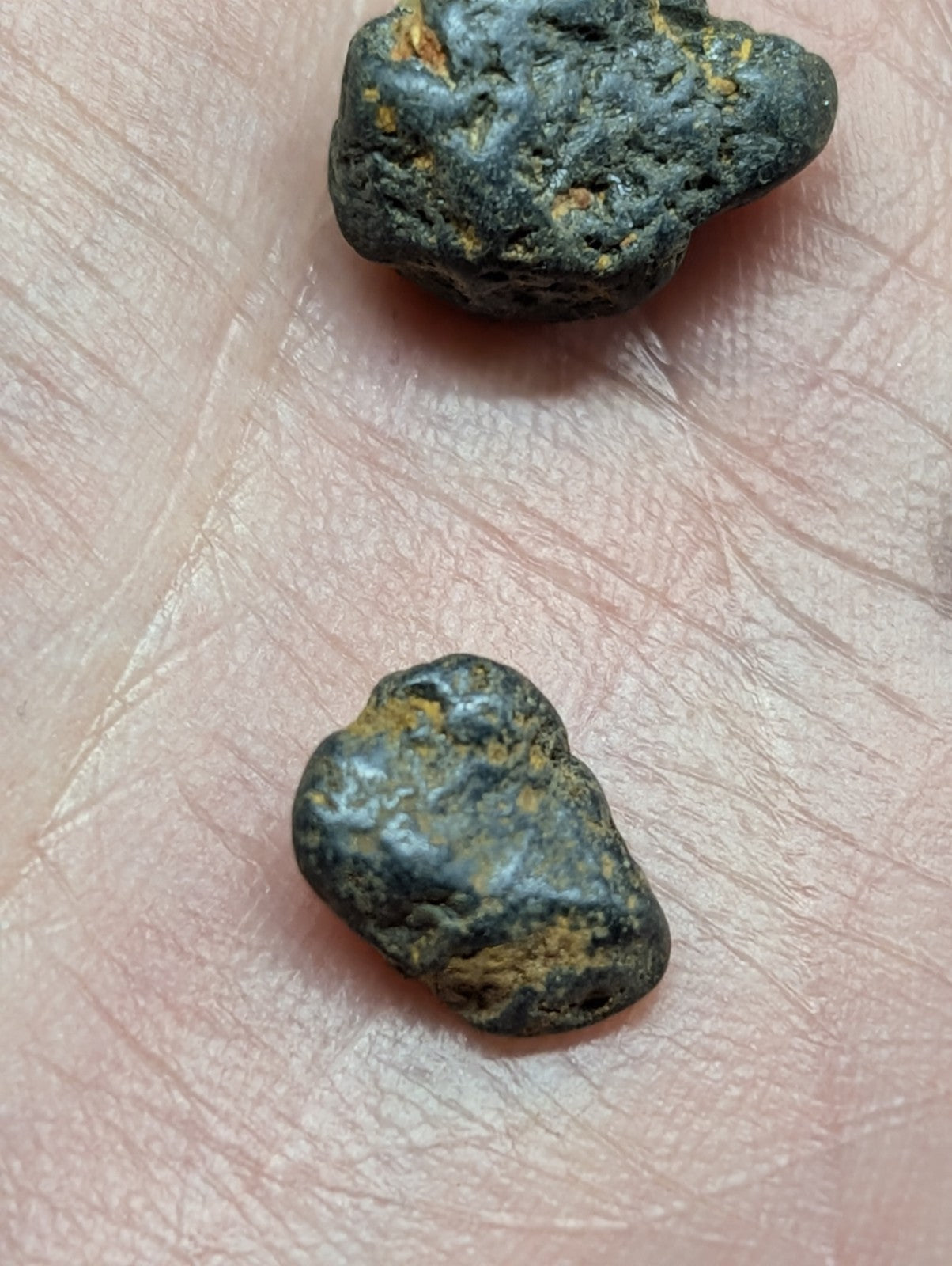 Two dark, rough-textured rocks with patches of yellowish mineral streaks rest on a human palm.