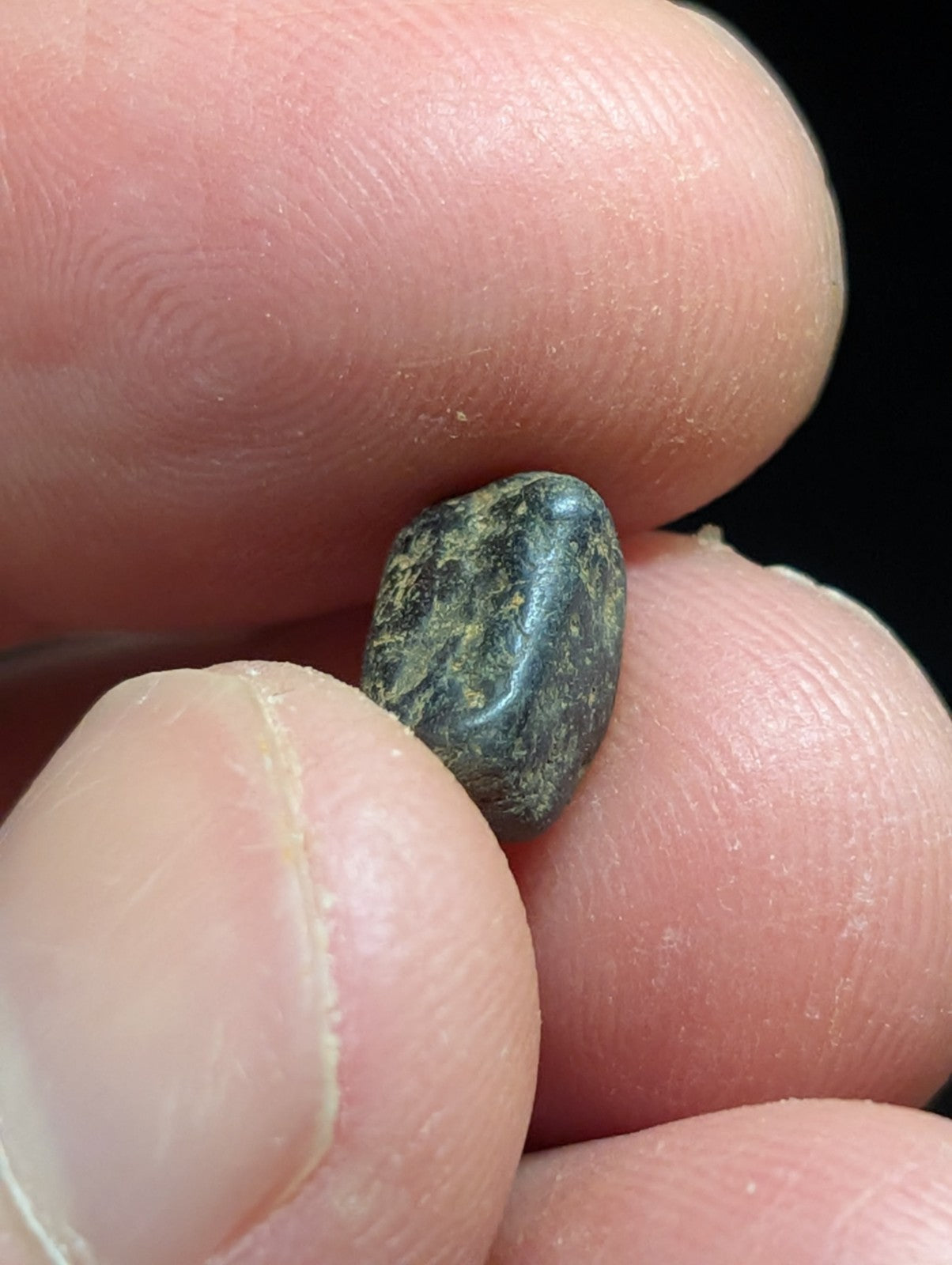 A small, dark greenish-black stone with a smooth, slightly glossy surface and subtle yellow-green speckles.