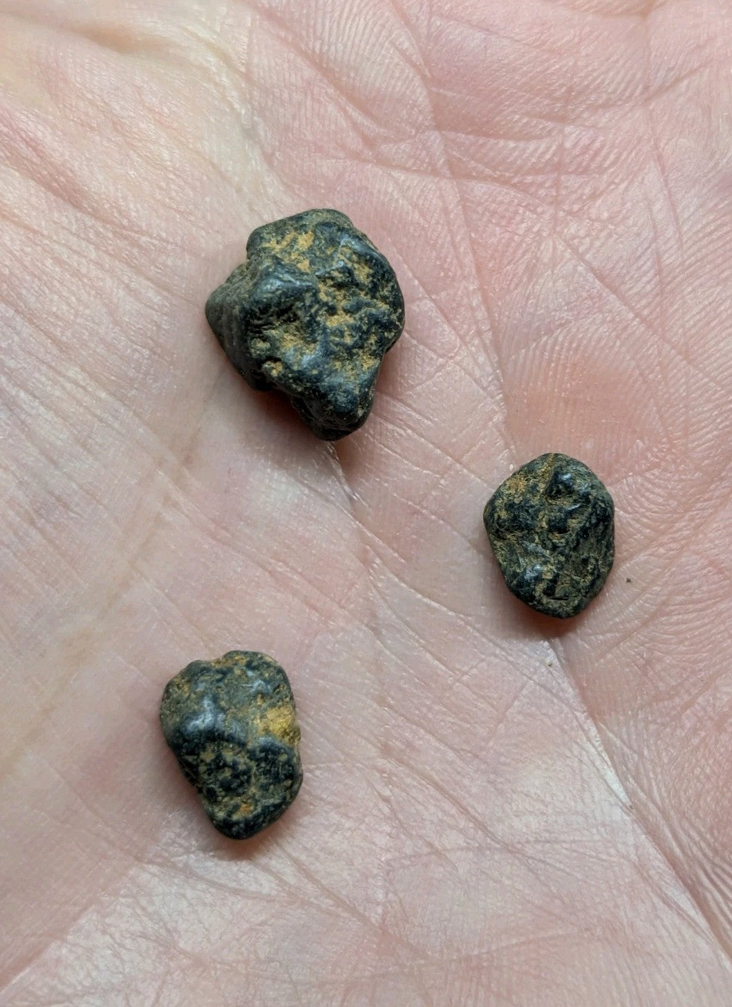 Three irregularly shaped, dark green and yellowish mineral specimens rest in the palm of a hand.