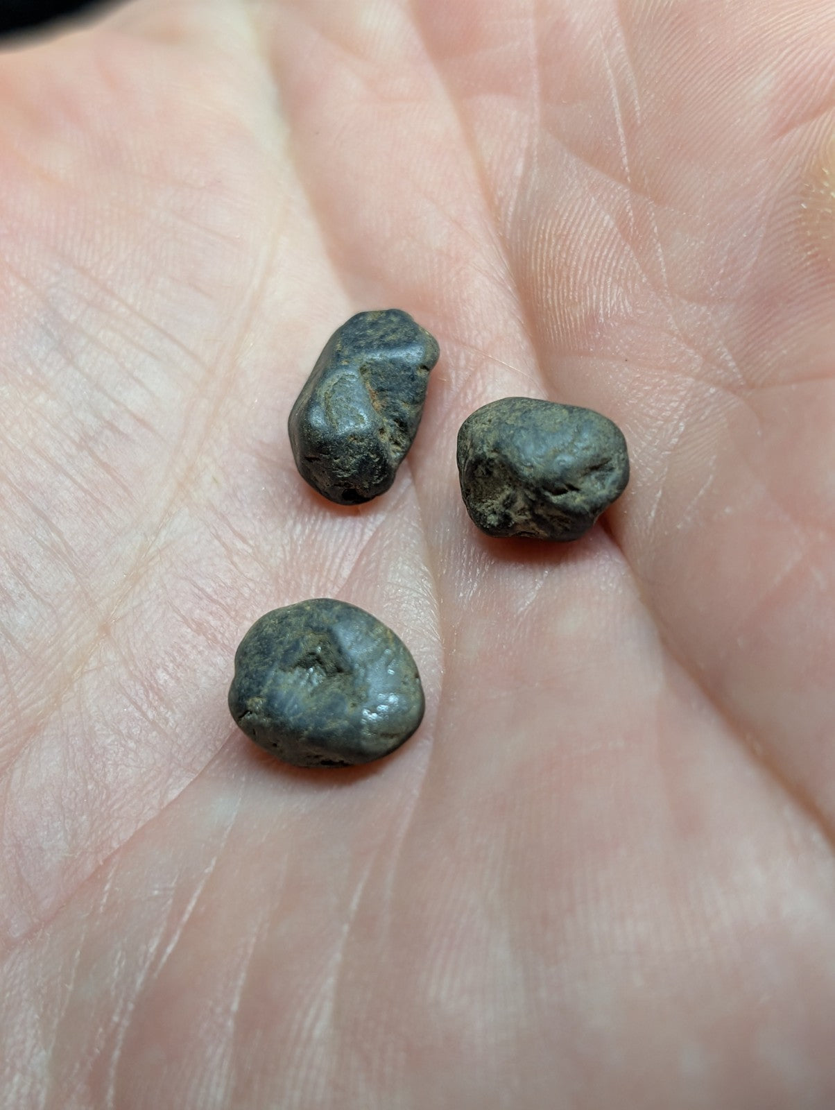 Three small, dark greenish-gray, irregularly shaped stones resting in the palm of a hand.
