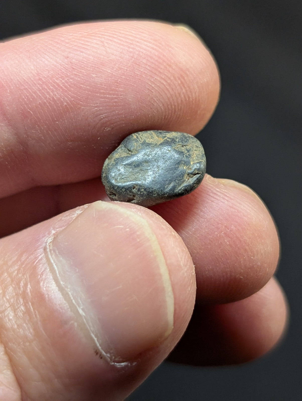 A small, smooth, dark greenish-gray stone with a slightly rounded and irregular shape.