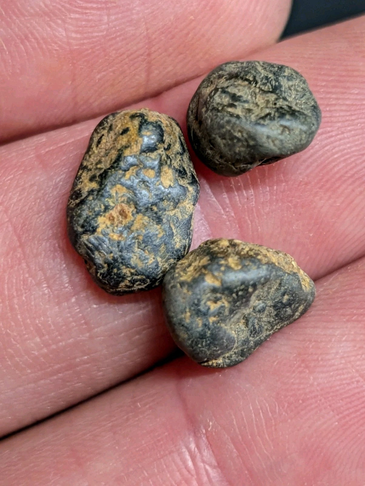 Three smooth, dark gray to black stones with mottled patches of yellowish-brown and subtle blue-gray tones rest in the palm.