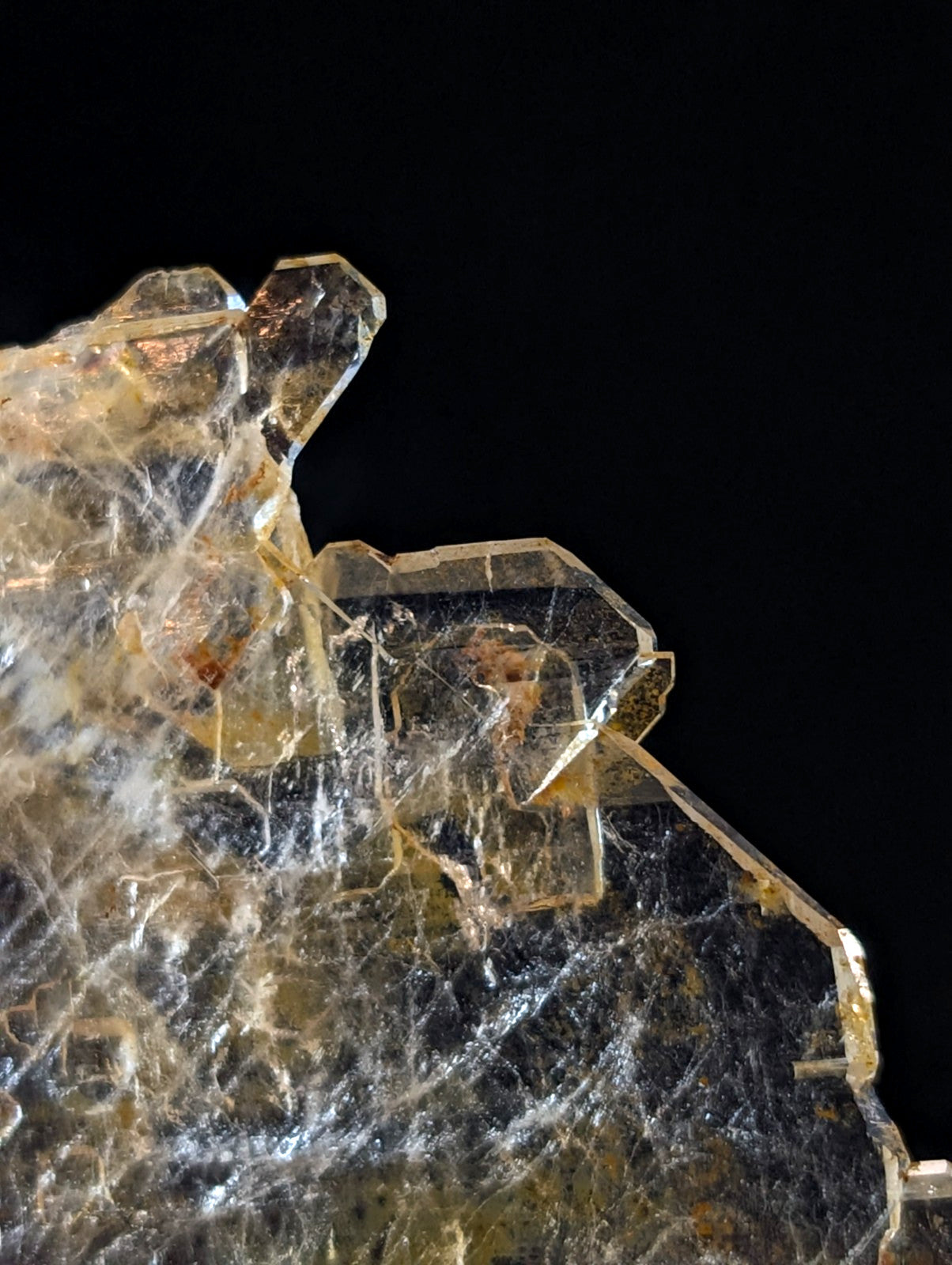 A translucent yellowish crystal formation with intricate, web-like internal patterns and sharp geometric facets.