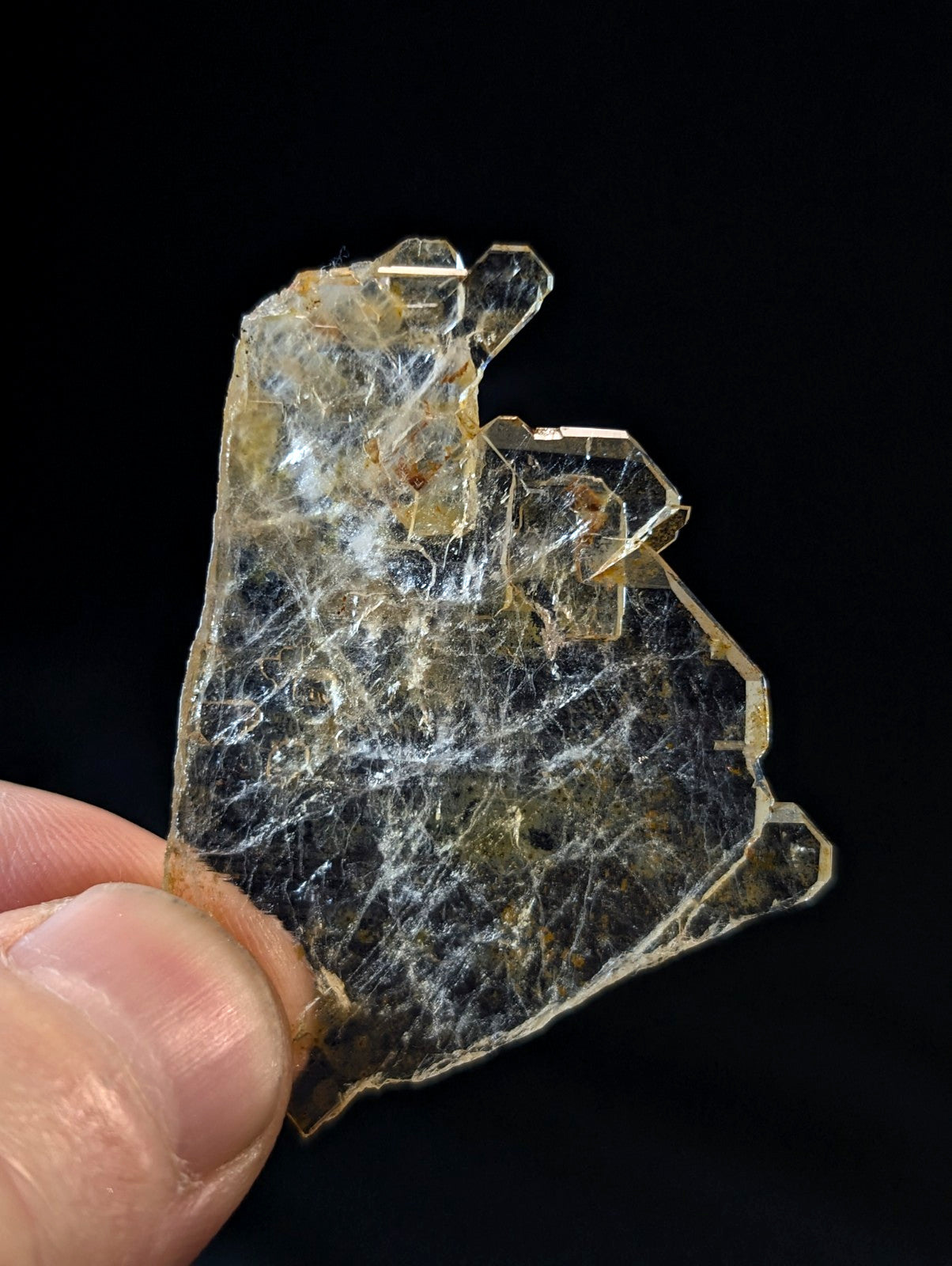 A translucent, amber-hued crystal fragment with intricate white fibrous inclusions and jagged edges.