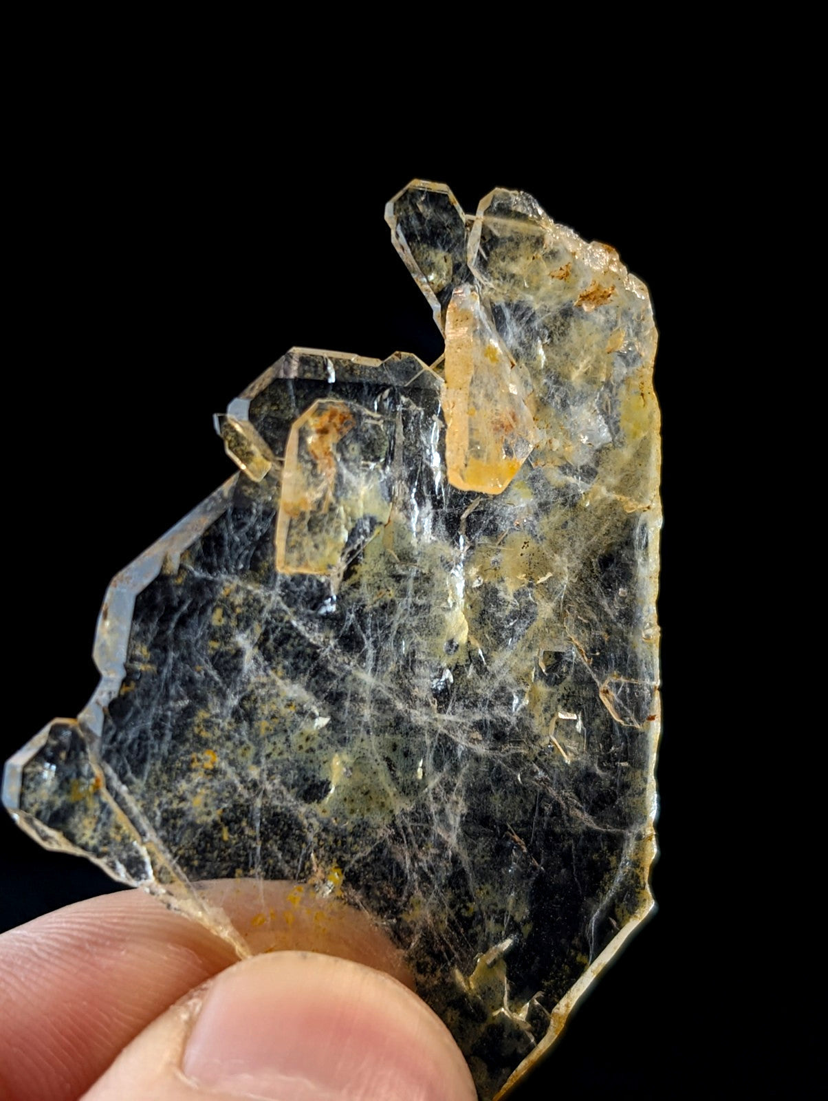 A translucent, dark green mineral specimen with embedded yellowish crystals and fine white veining.