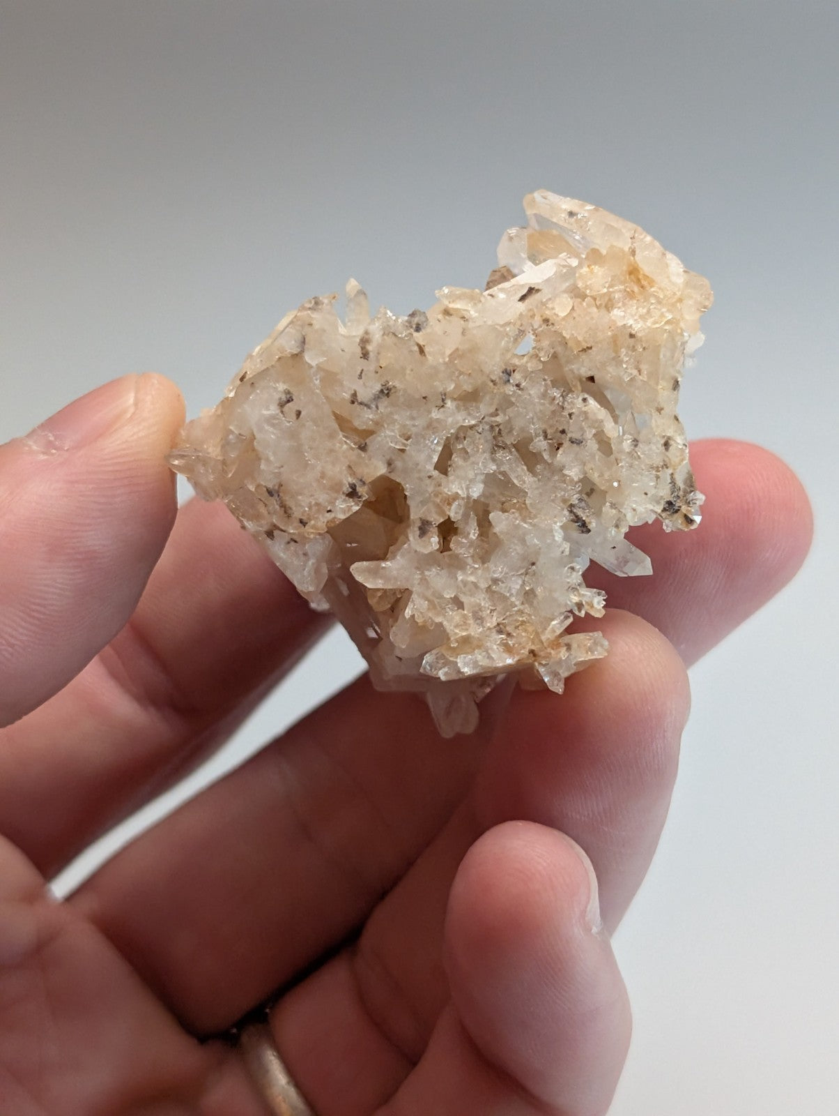 A translucent pale quartz crystal cluster with intricate branching formations and subtle brownish inclusions from Montgomery County Arkansas USA