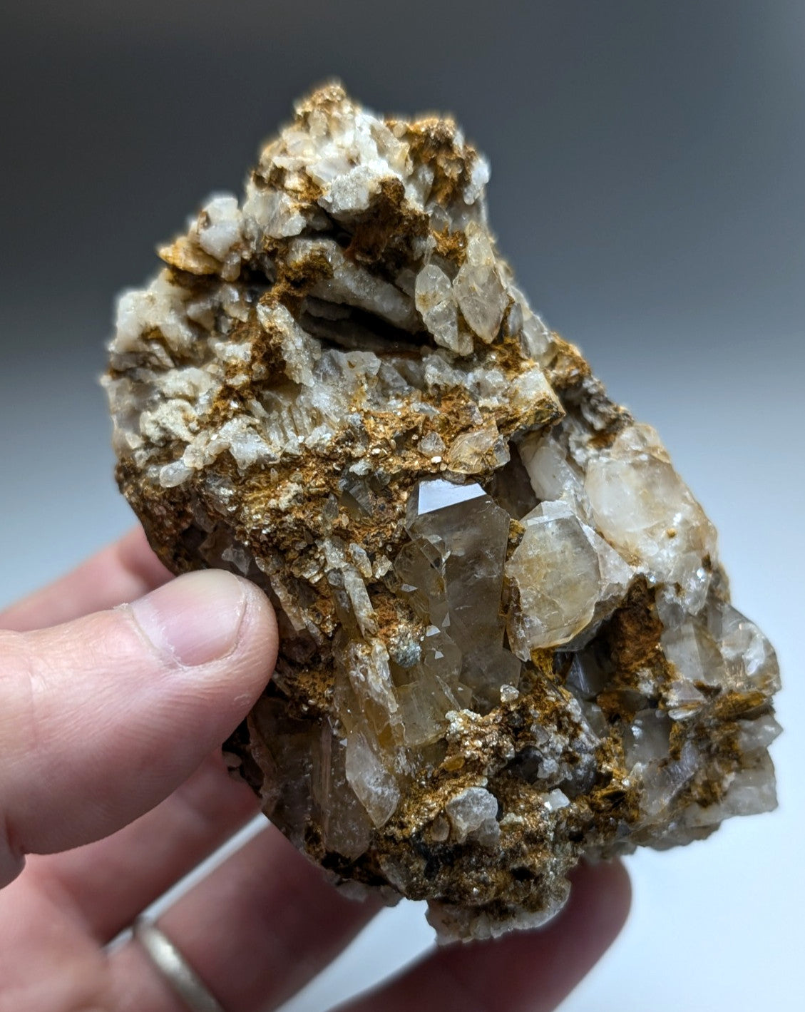 A translucent quartz crystal cluster with golden cookeite inclusions held by hand from saline county Arkansas rare conglomerate