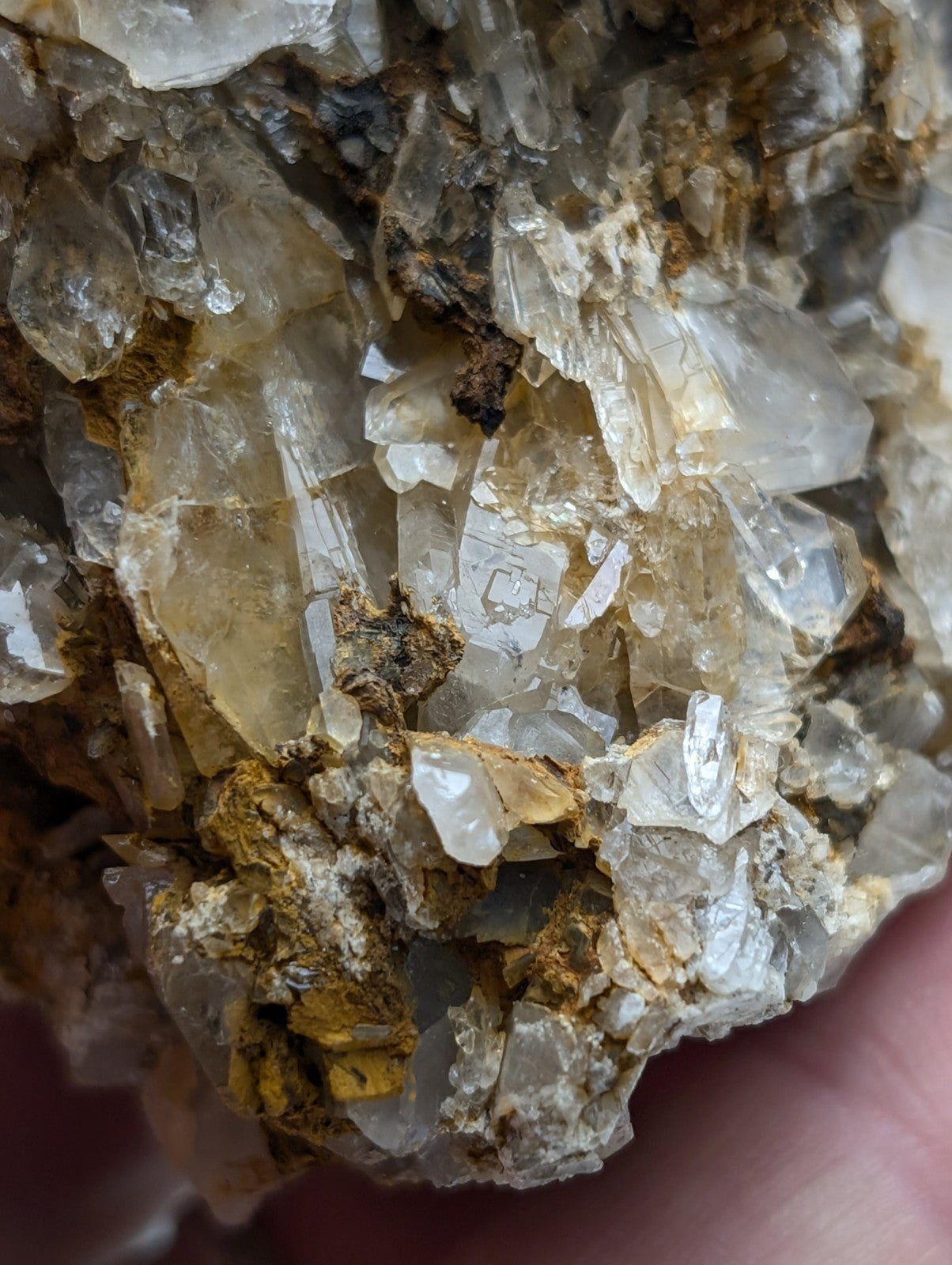 A cluster of translucent quartz with golden-brown cookeite inclusions from saline county Arkansas conglomerate