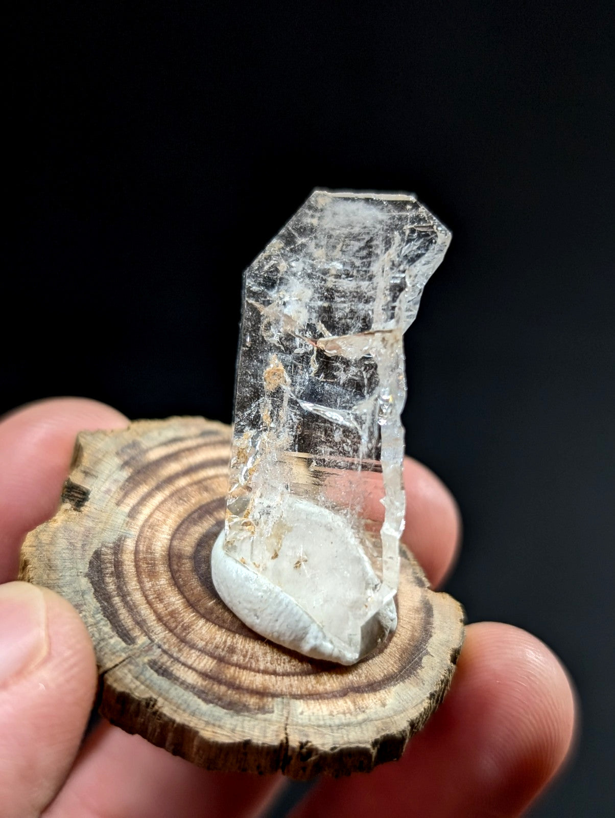 A clear, translucent quartz crystal with a rough, jagged top and smooth base rests on a circular wooden slice.