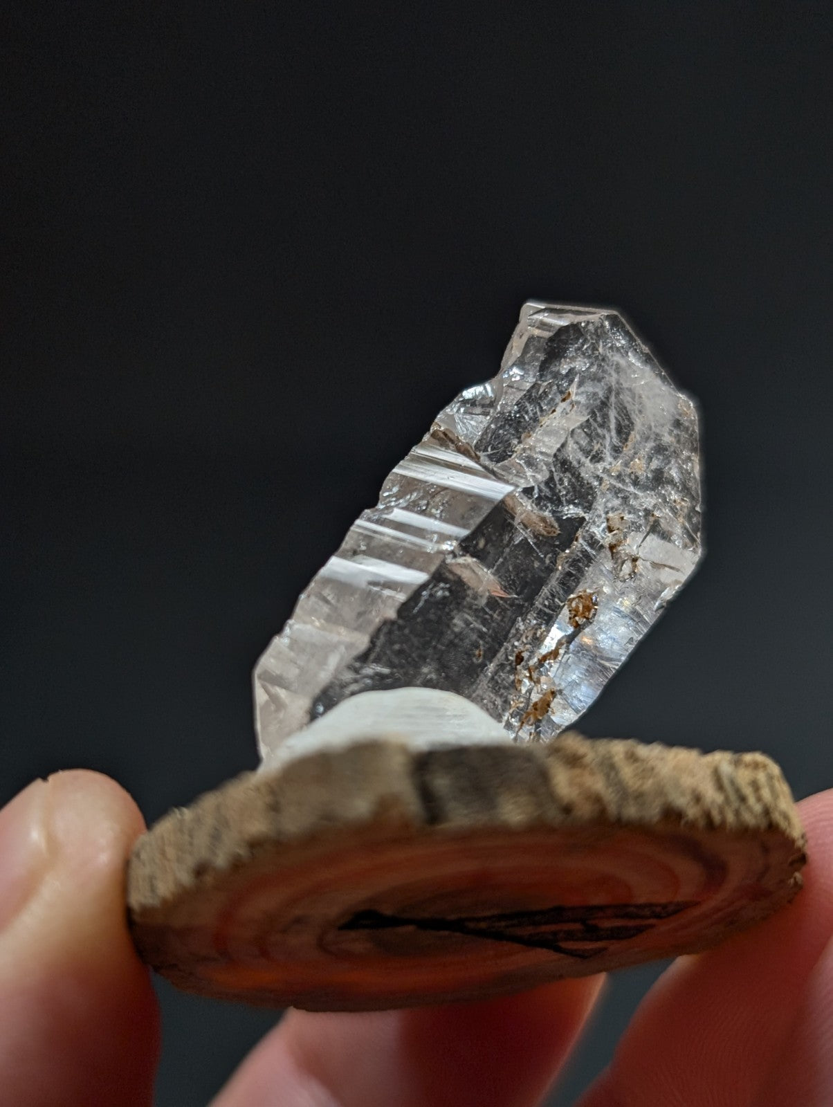 A clear, faceted quartz crystal with natural inclusions rests atop a rustic wooden slice.