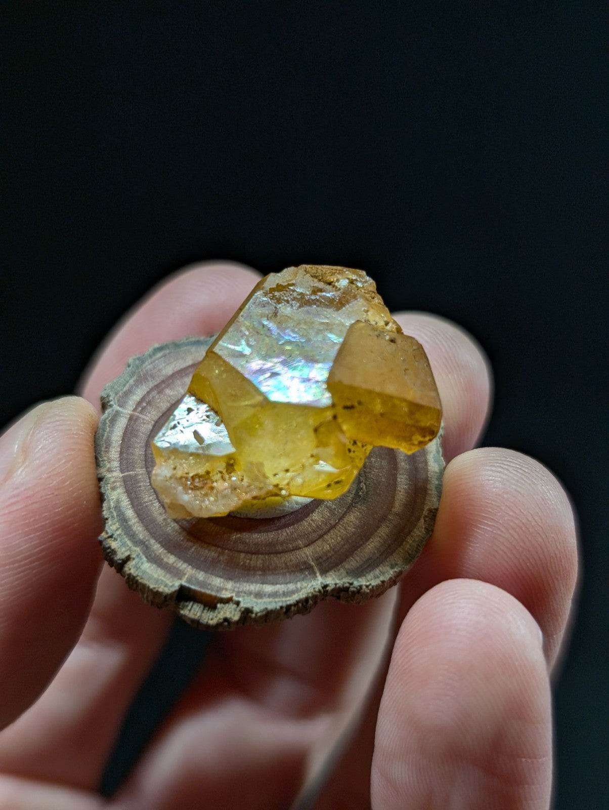 A translucent golden-yellow citrine crystal with a faceted, geometric shape and iridescent highlights.