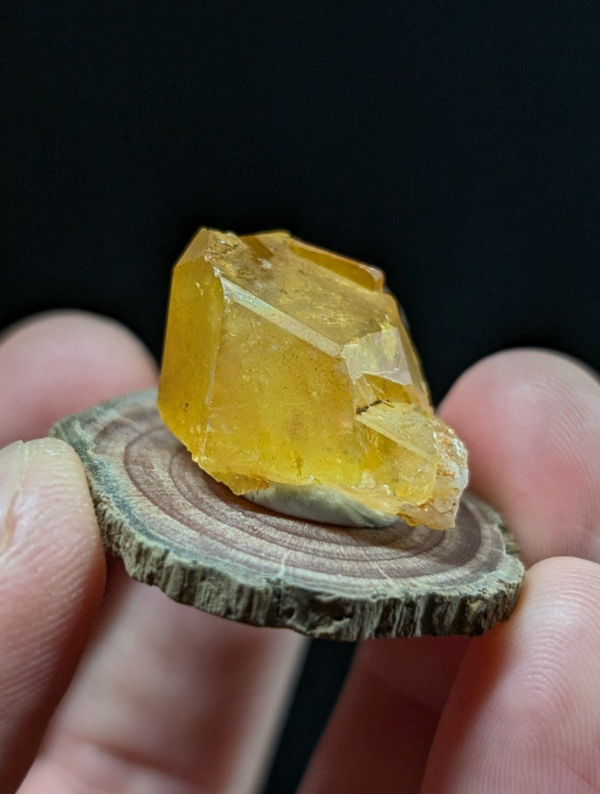 A translucent golden-yellow citrine crystal with sharp, geometric facets rests on a rustic wooden slice.
