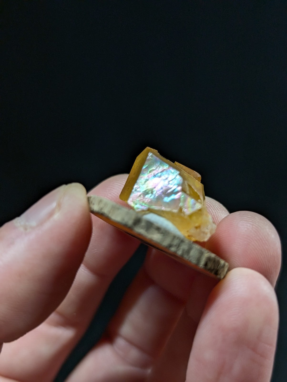 A translucent amber-colored, irregularly shaped piece of opal with a shimmering iridescent interior.