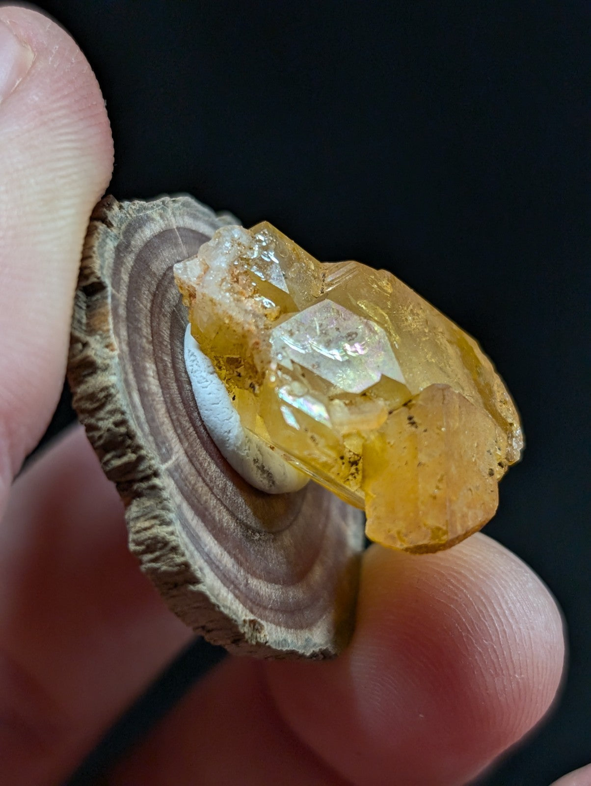 A translucent golden-yellow crystal cluster with clear facets, mounted on a circular wooden slice.