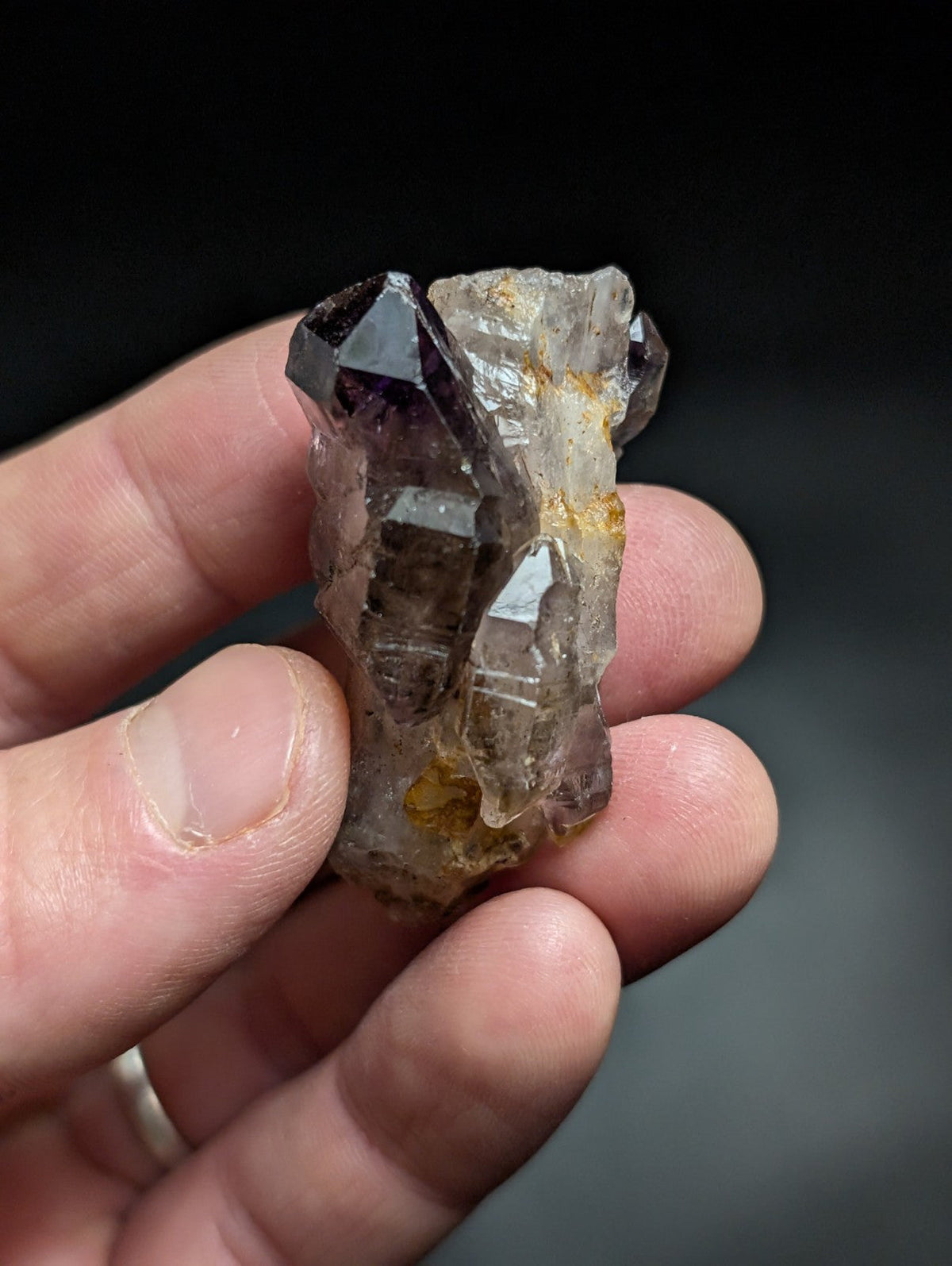 A cluster of amethyst and clear quartz crystals held in a hand, featuring deep purple facets alongside transparent, glassy formations with subtle golden mineral inclusions.