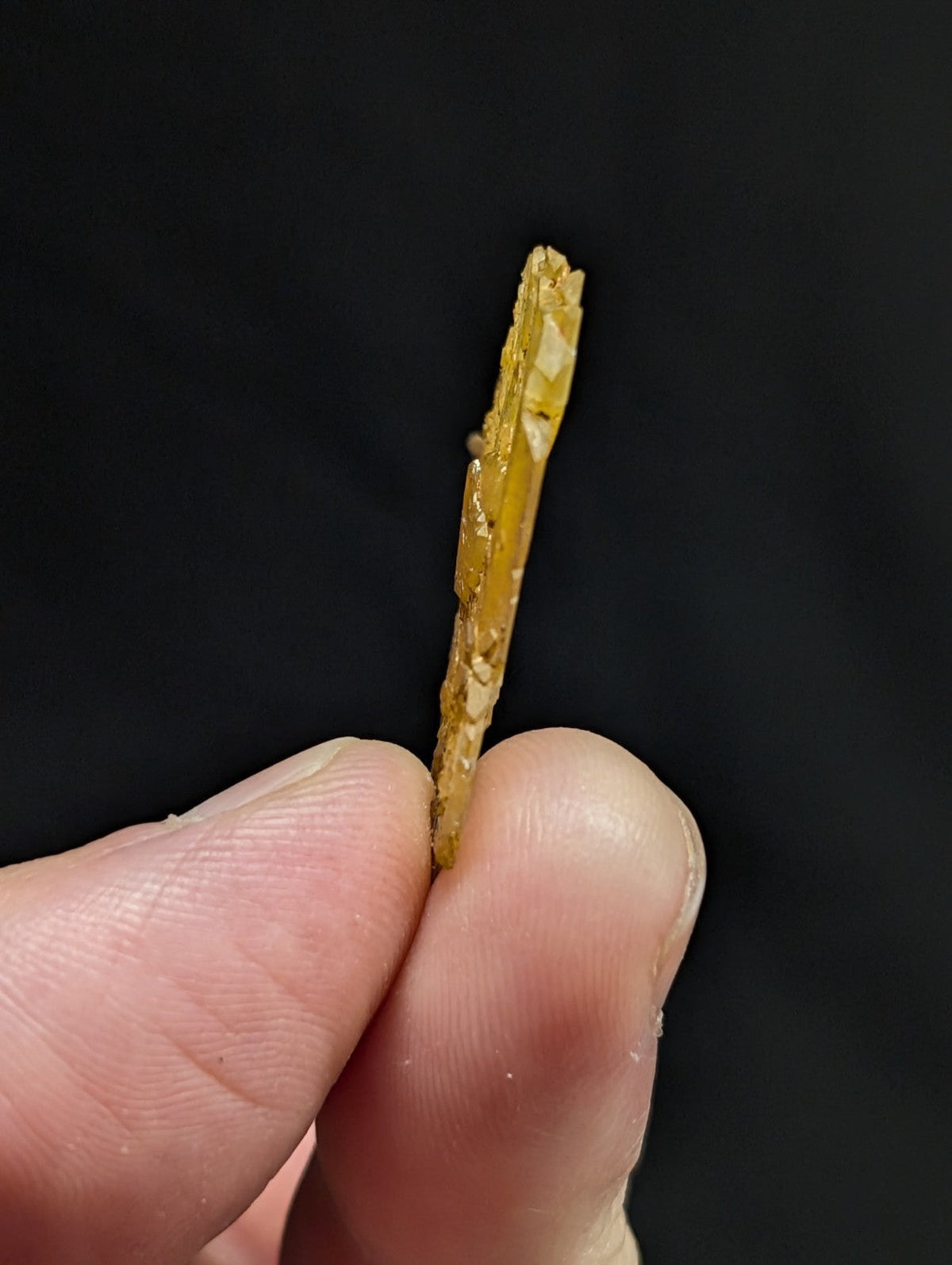A golden, irregularly shaped shard with a textured surface and visible chipped edges.