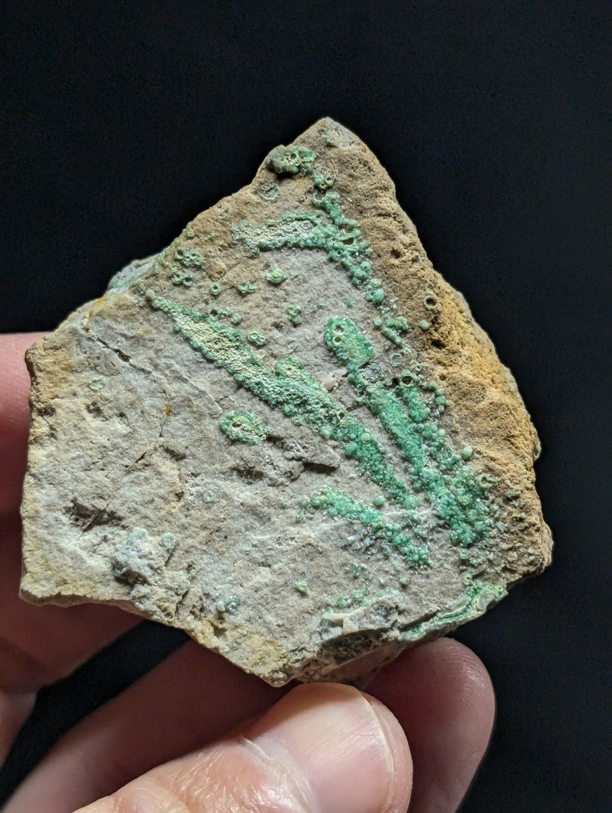 A weathered, irregularly shaped fragment of ancient pottery with a textured surface and patches of green patina.