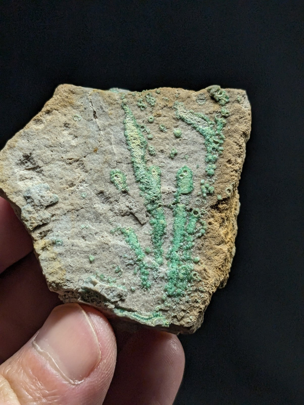 A weathered, irregularly shaped fragment of ancient pottery with a textured surface and patches of green patina.