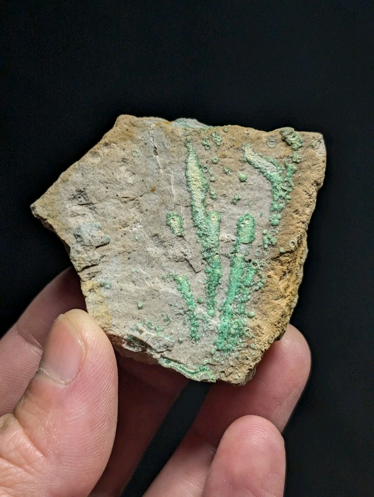 A weathered, irregularly shaped fragment of ancient pottery with a rough, earthy brown surface and patches of vibrant green patina forming stylized plant-like patterns.