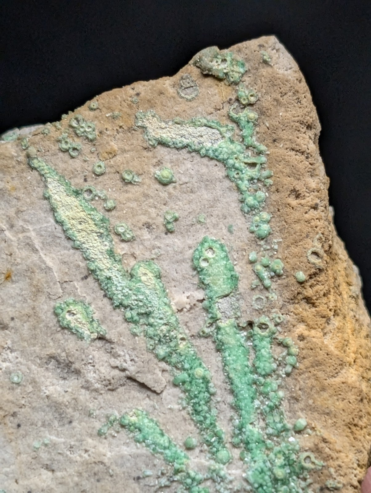 A textured, earth-toned rock specimen featuring vibrant green mineral deposits forming intricate patterns across its surface.