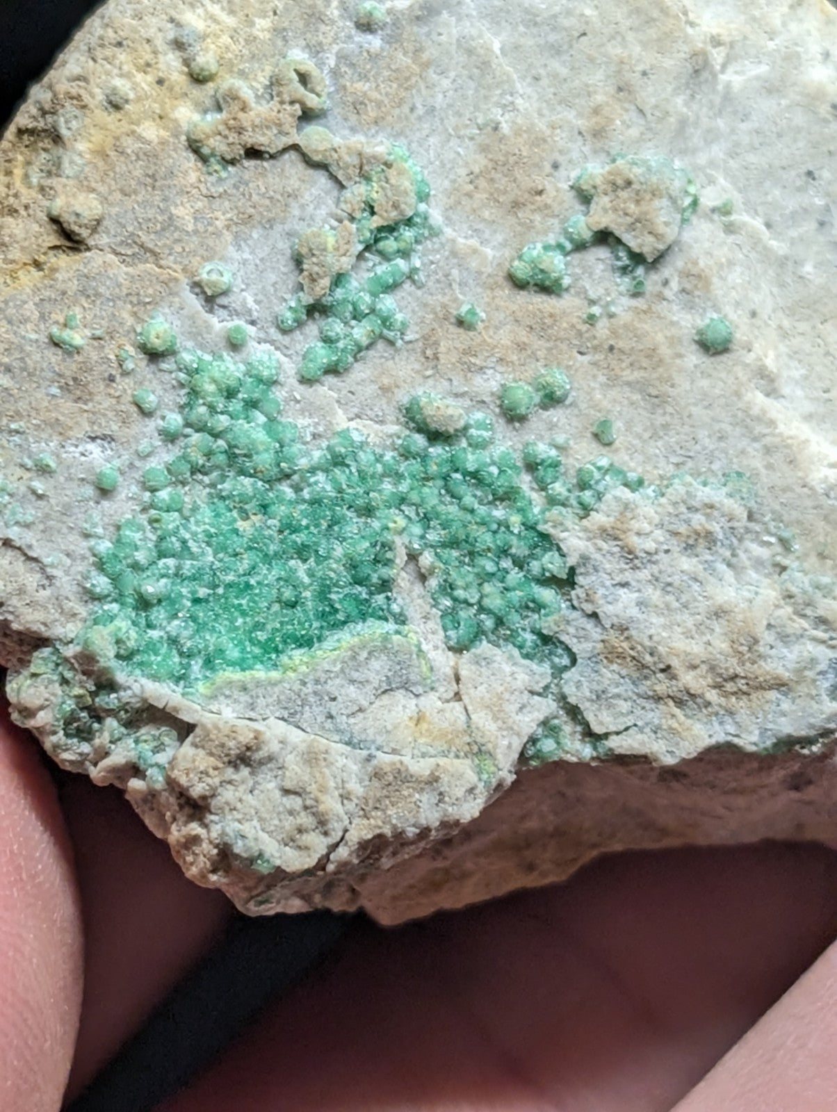 A rough, light gray rock with clusters of vibrant green mineral formations.