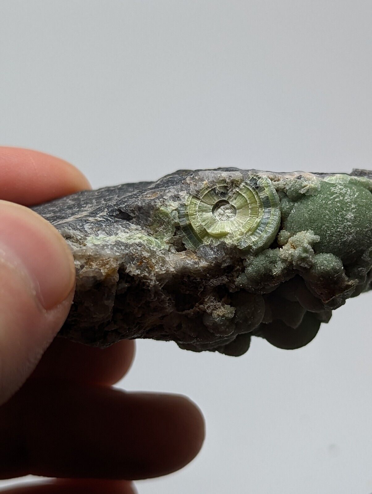 Very Unique Wavellite - Fantastic 1990s Old Stock - Mauldin Mountain Arkansas - Collectibles:Rocks Fossils &