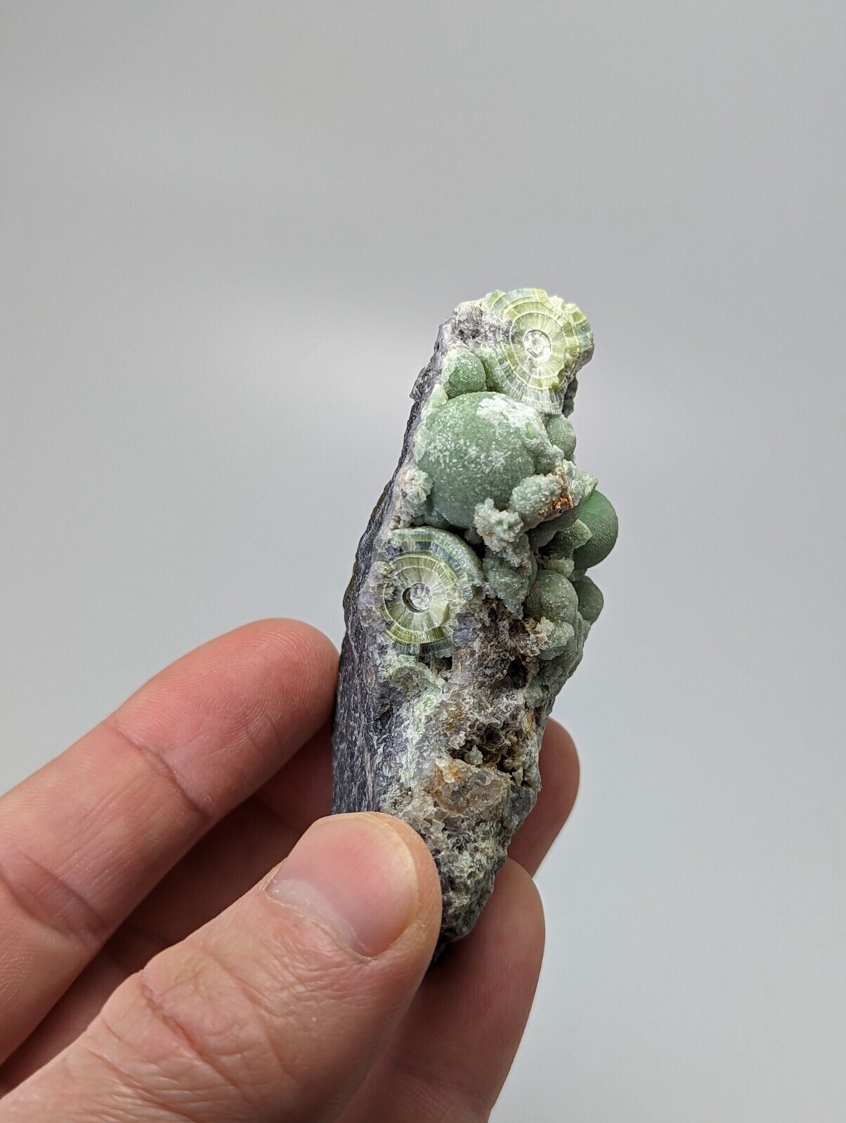Very Unique Wavellite - Fantastic 1990s Old Stock - Mauldin Mountain Arkansas - Collectibles:Rocks Fossils &