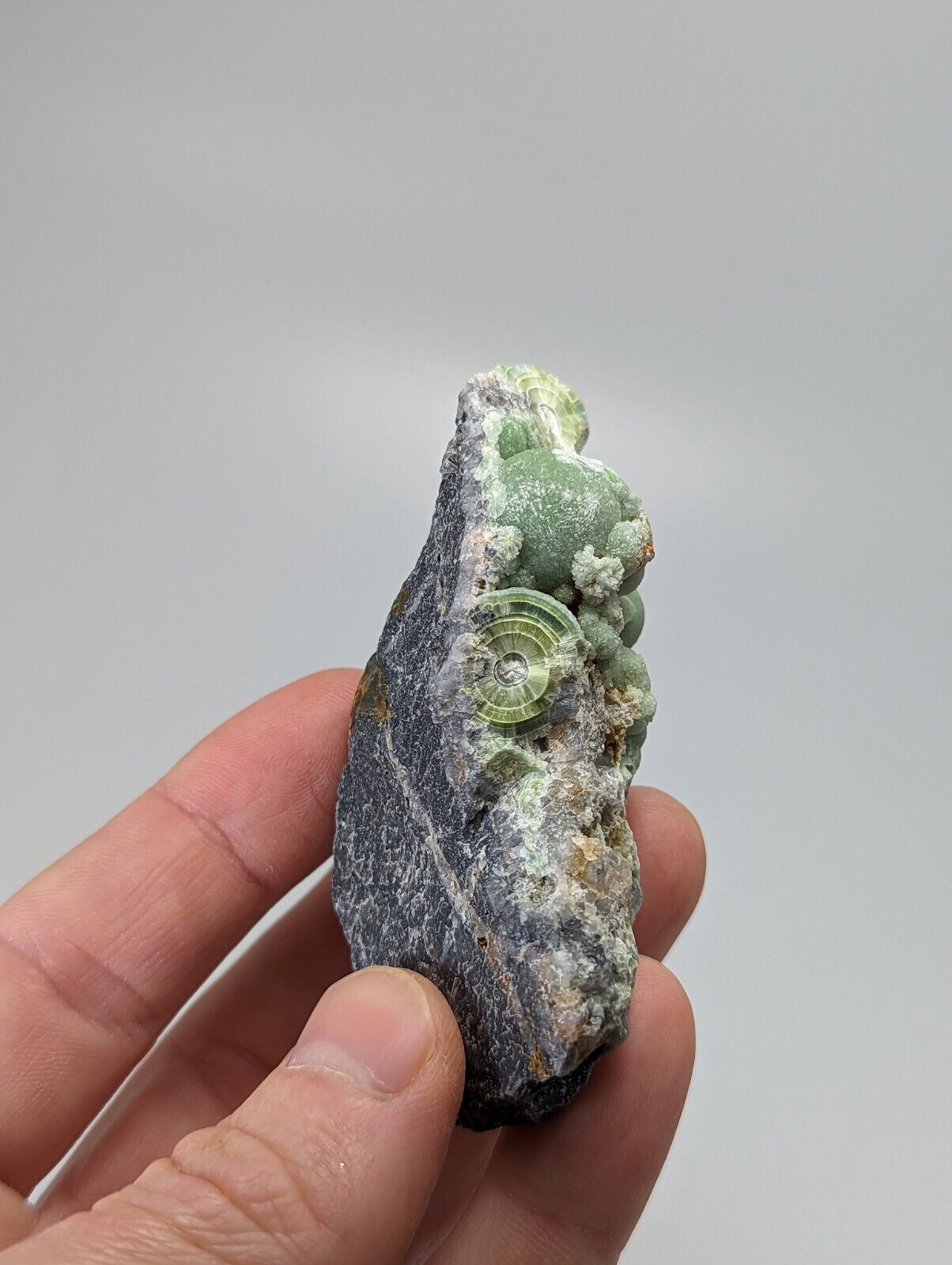 Very Unique Wavellite - Fantastic 1990s Old Stock - Mauldin Mountain Arkansas - Collectibles:Rocks Fossils &