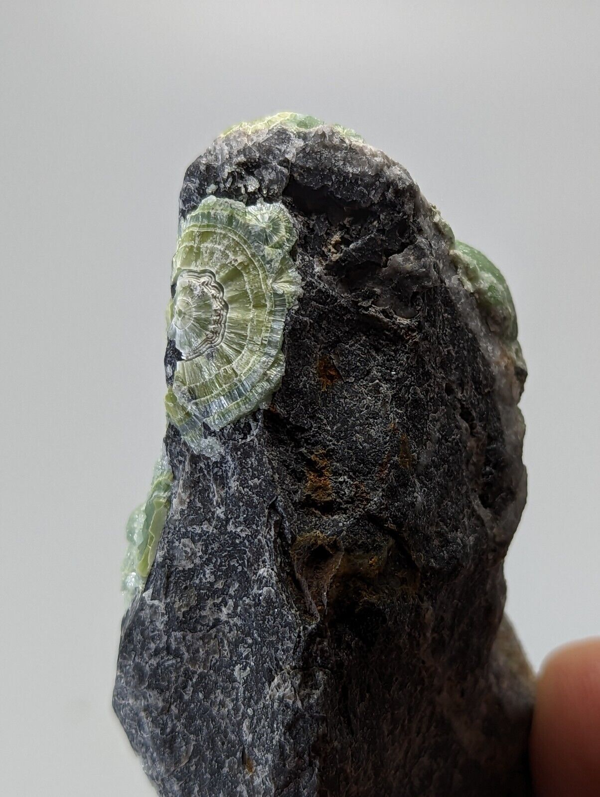 Very Unique Wavellite - Fantastic 1990s Old Stock - Mauldin Mountain Arkansas - Collectibles:Rocks Fossils &