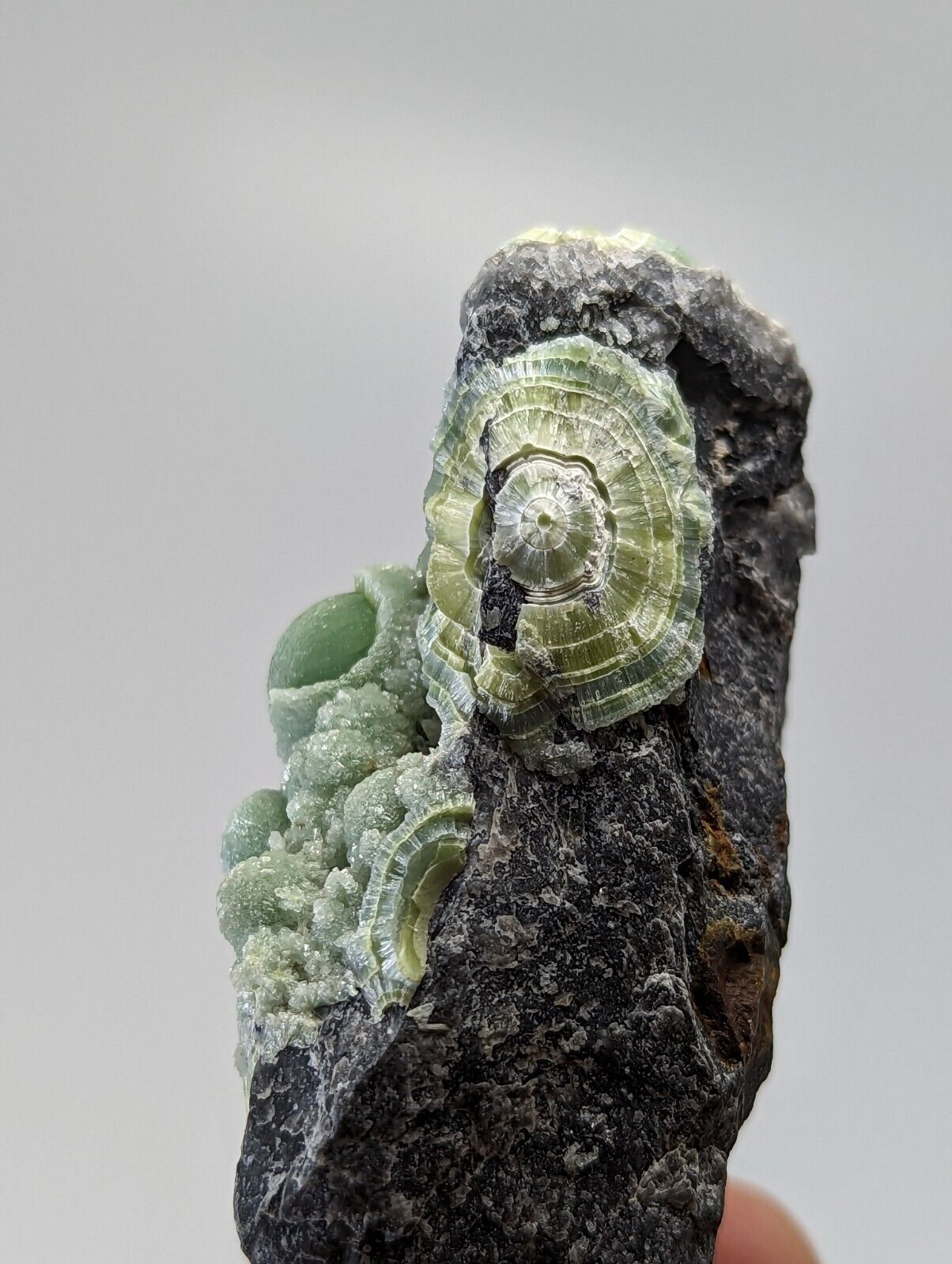 Very Unique Wavellite - Fantastic 1990s Old Stock - Mauldin Mountain Arkansas - Collectibles:Rocks Fossils &