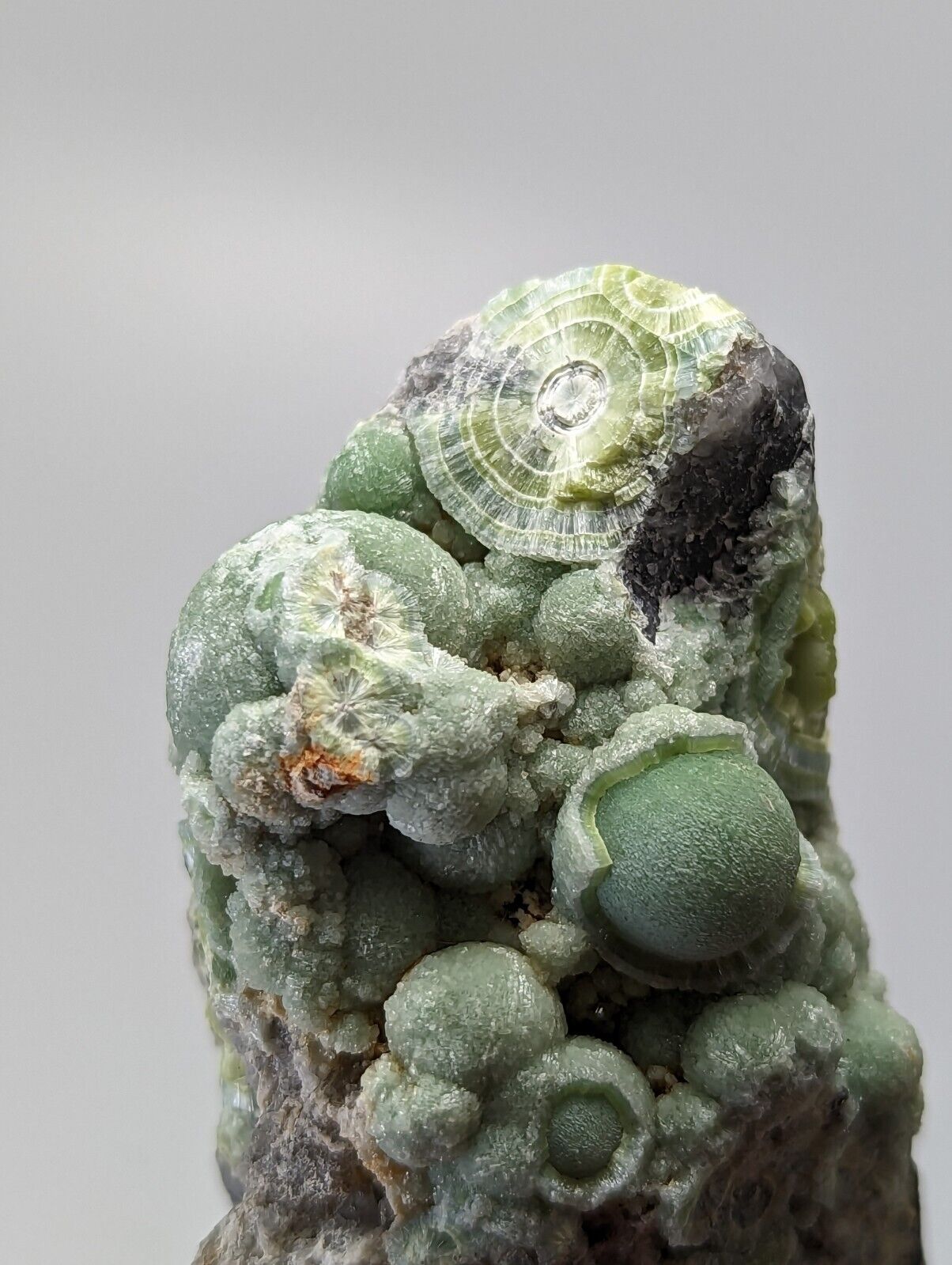 Very Unique Wavellite - Fantastic 1990s Old Stock - Mauldin Mountain Arkansas - Collectibles:Rocks Fossils &