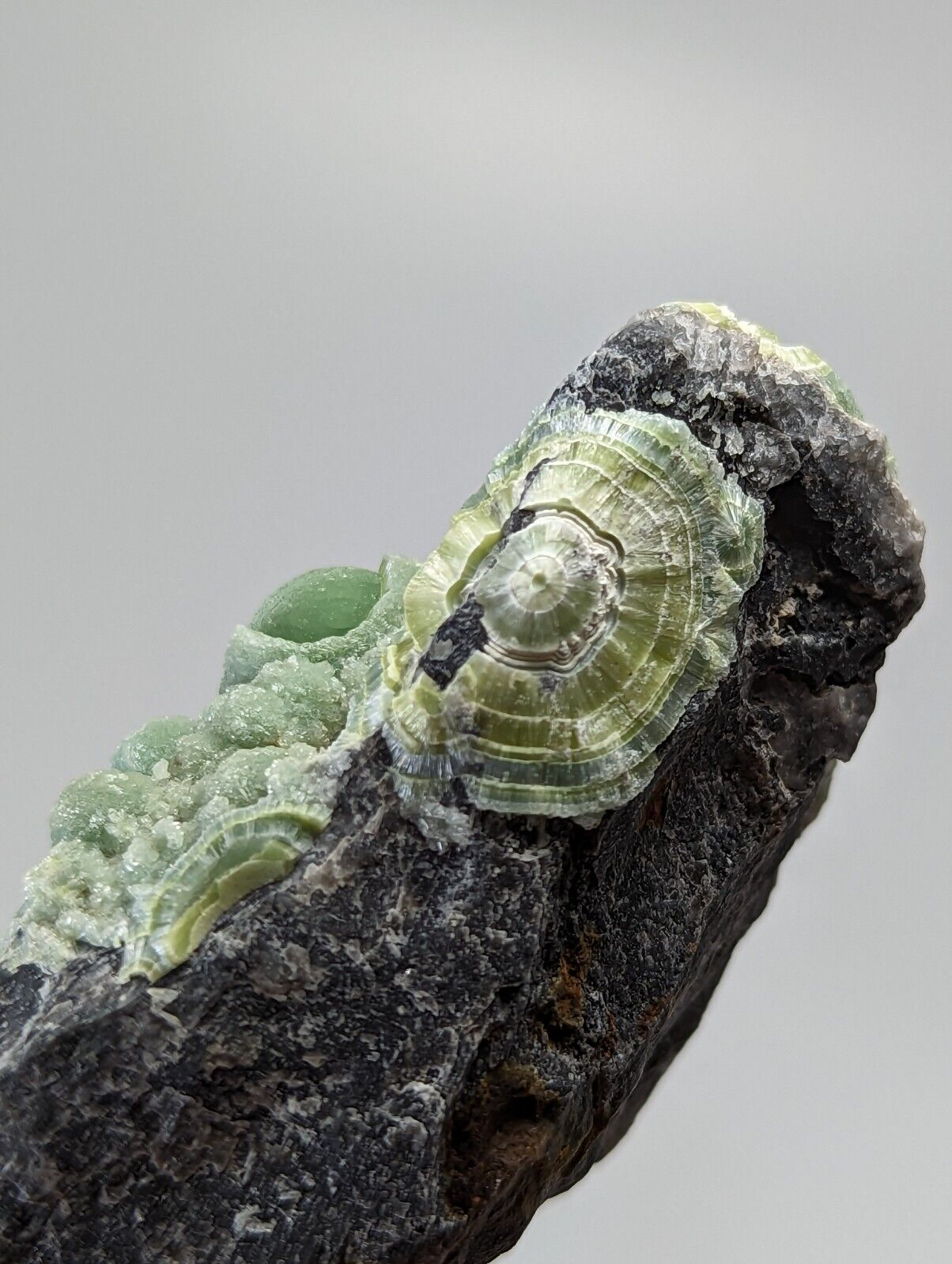 Very Unique Wavellite - Fantastic 1990s Old Stock - Mauldin Mountain Arkansas - Collectibles:Rocks Fossils &