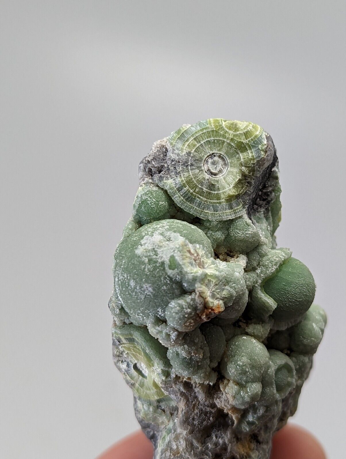 Very Unique Wavellite - Fantastic 1990s Old Stock - Mauldin Mountain Arkansas - Collectibles:Rocks Fossils &