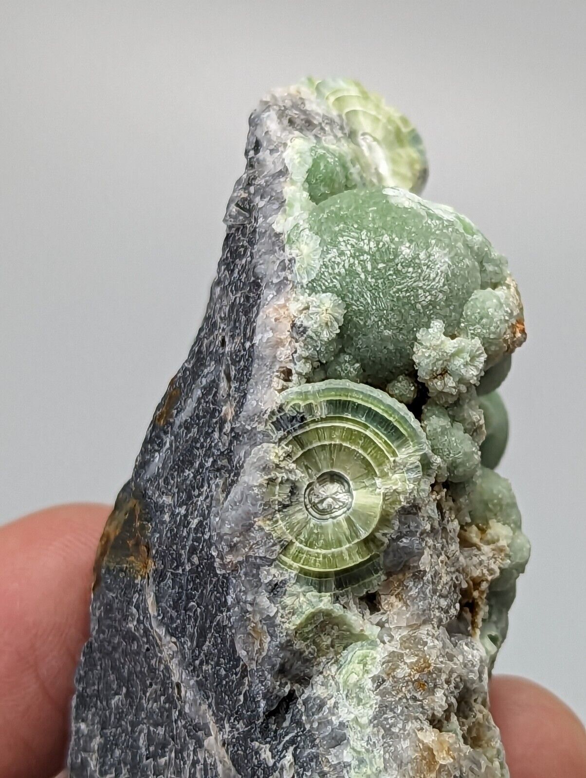 Very Unique Wavellite - Fantastic 1990s Old Stock - Mauldin Mountain Arkansas - Collectibles:Rocks Fossils &