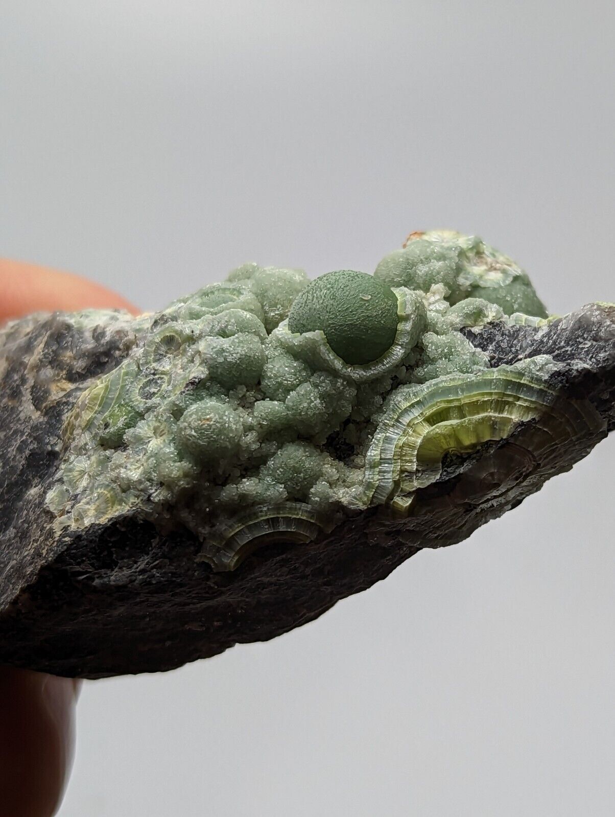 Very Unique Wavellite - Fantastic 1990s Old Stock - Mauldin Mountain Arkansas - Collectibles:Rocks Fossils &