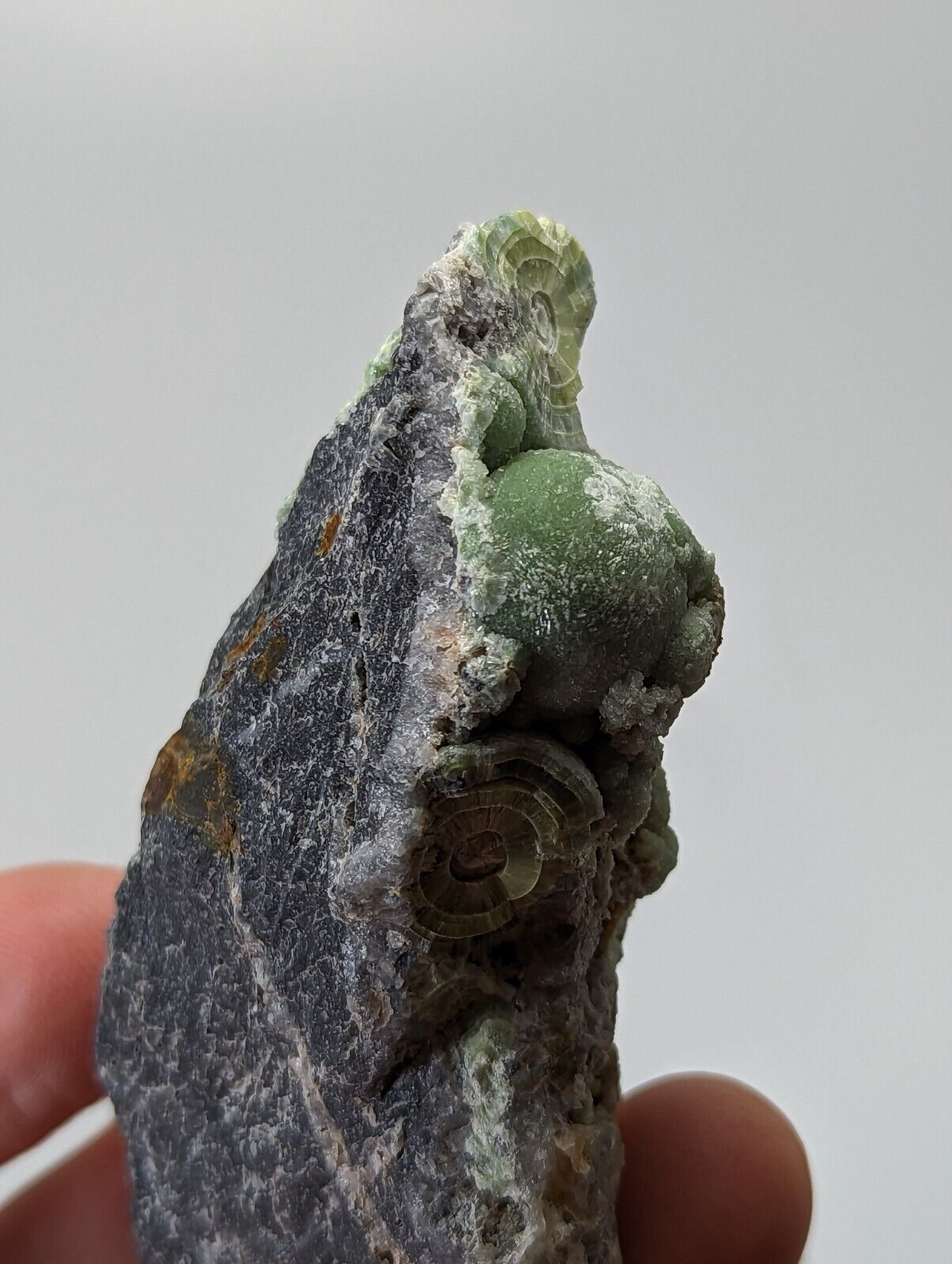 Very Unique Wavellite - Fantastic 1990s Old Stock - Mauldin Mountain Arkansas - Collectibles:Rocks Fossils &
