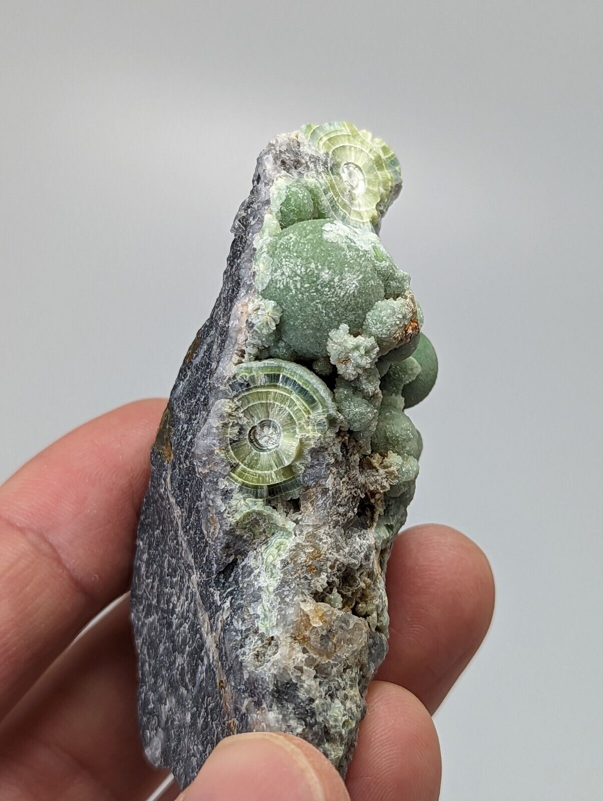 Very Unique Wavellite - Fantastic 1990s Old Stock - Mauldin Mountain Arkansas - Collectibles:Rocks Fossils &