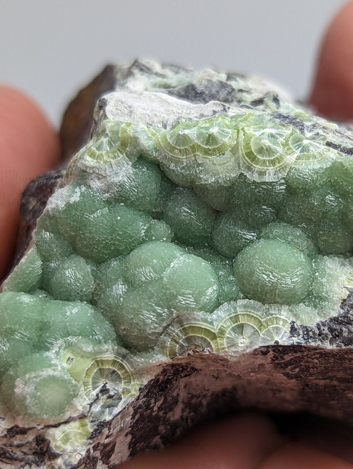 Vibrant Green Wavellite - Fantastic 1990s Old Stock- Mauldin Mountain Arkansas - Collectibles:Rocks Fossils &