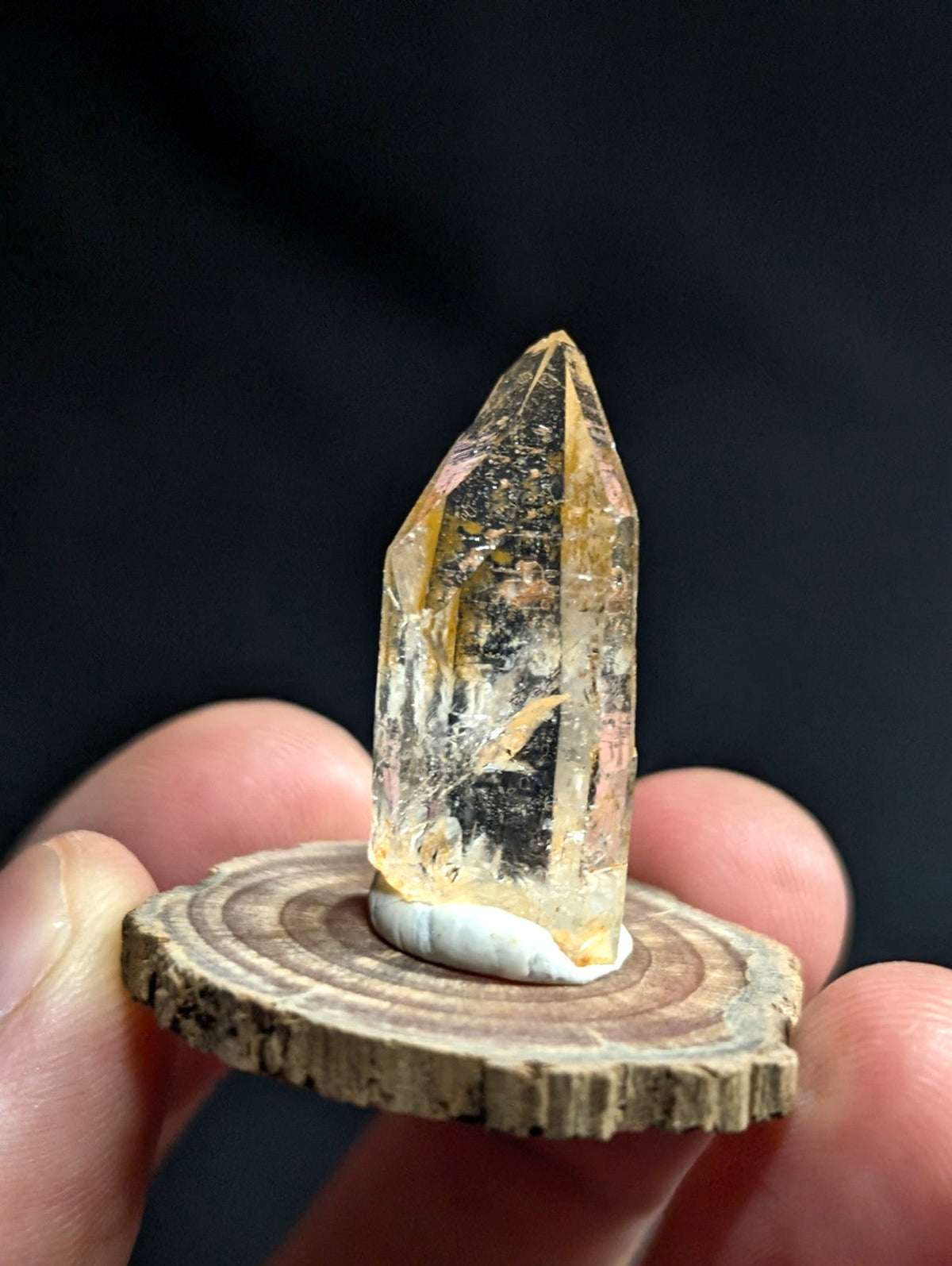 A translucent golden-yellow crystal with natural inclusions, mounted on a rustic wooden slice base.
