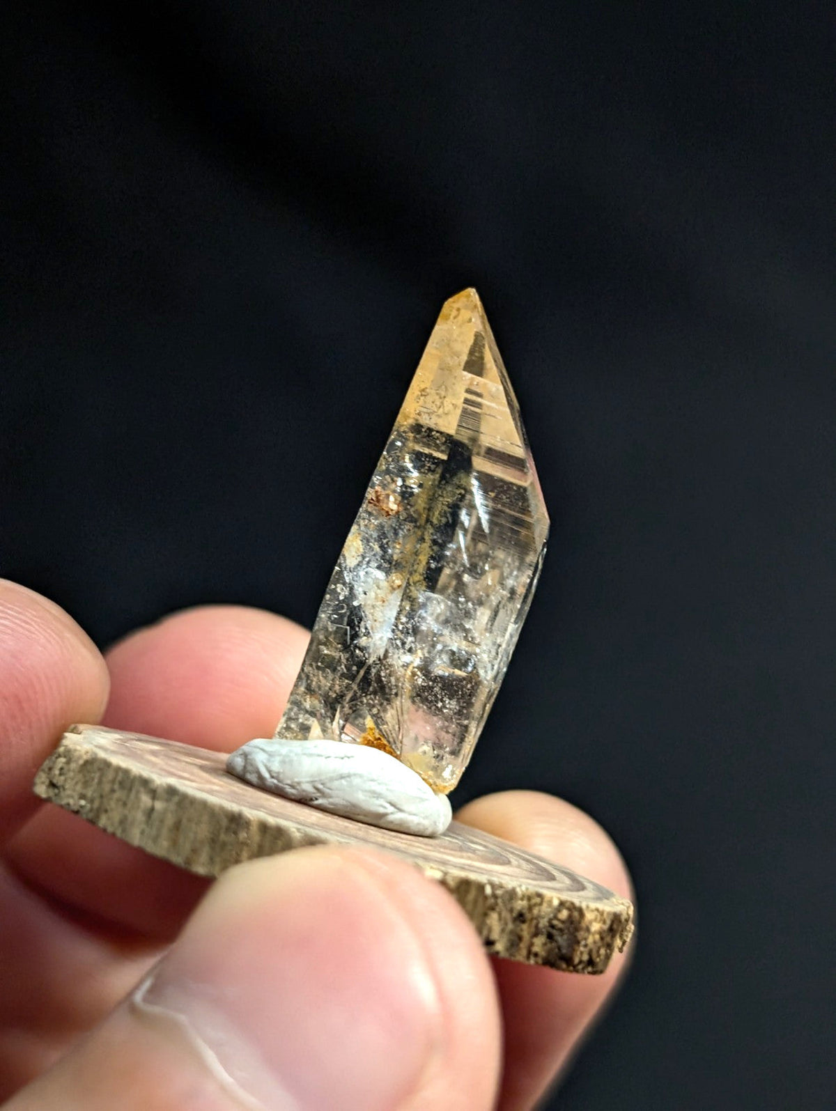 A translucent golden-yellow crystal with natural inclusions, mounted on a rustic wooden slice base.