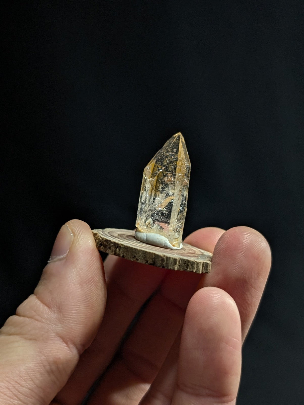 A translucent golden-yellow crystal with a pointed tip, mounted on a rustic wooden slice.
