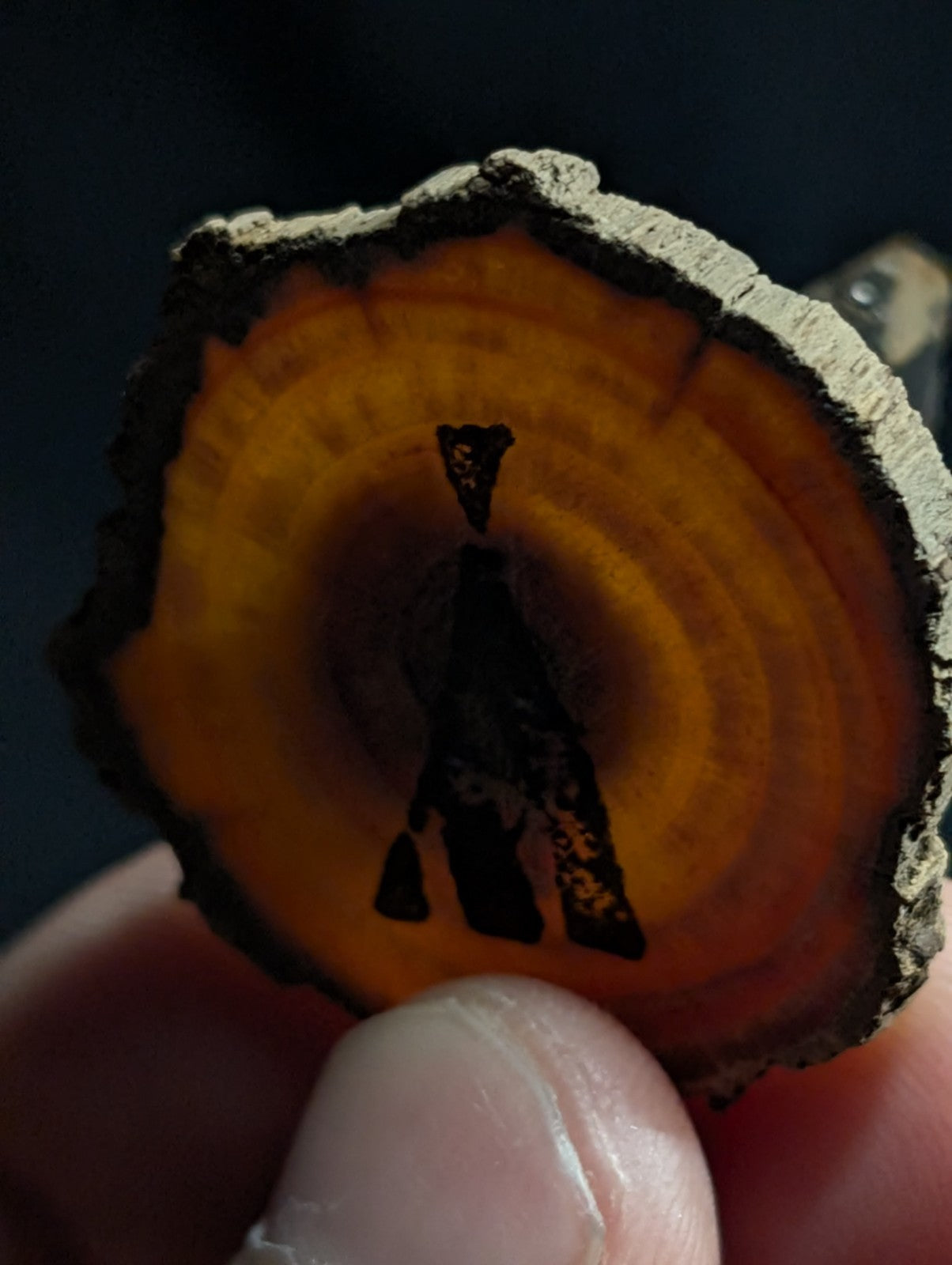 A hand holds a circular slice of wood with visible growth rings, featuring a dark silhouette engraving or inlay depicting a stylized figure.