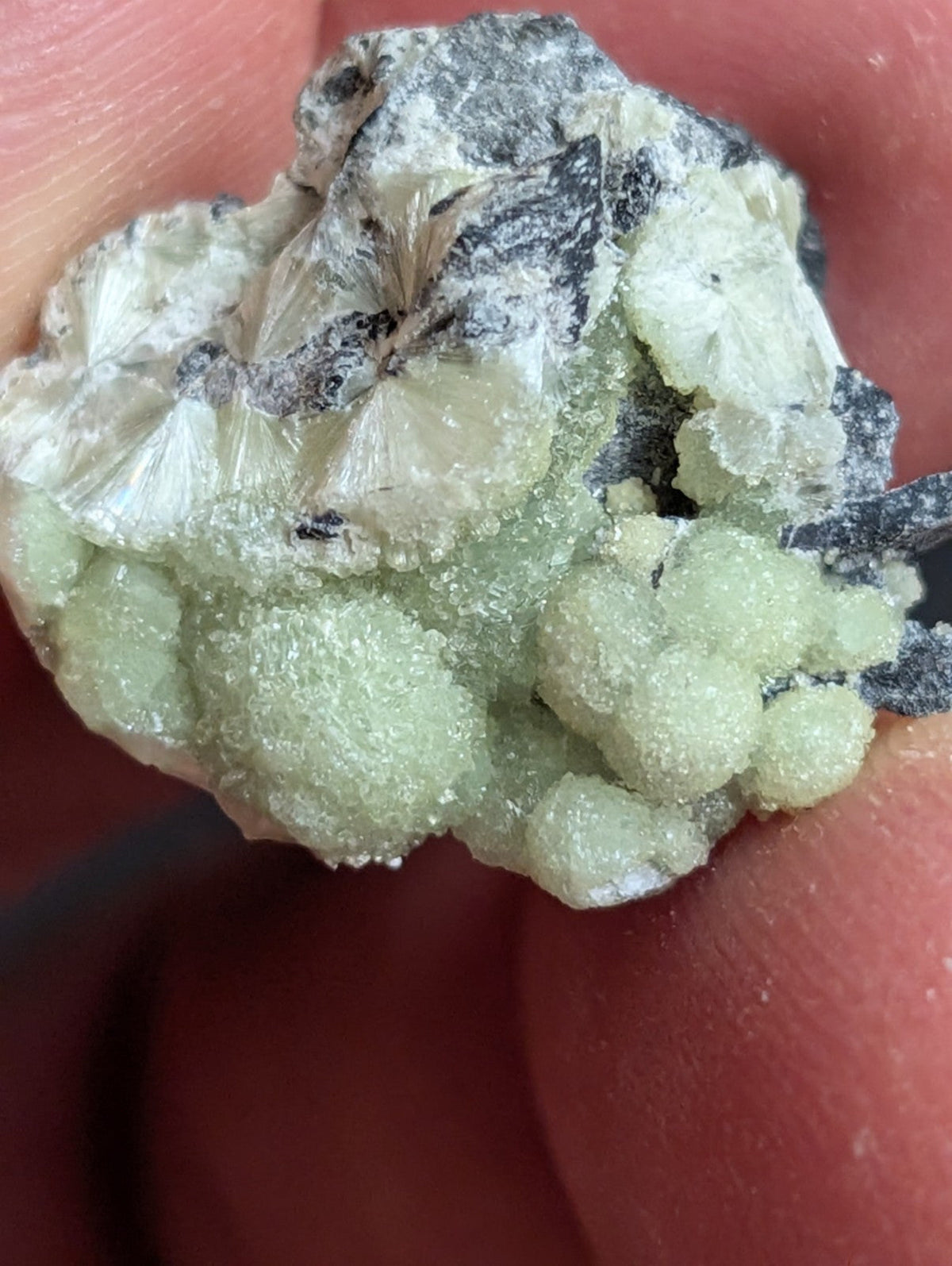 Wavellite - A + Crystallization - Old Stock - Mauldin Mountain Arkansas USA - Collectibles:Rocks Fossils &