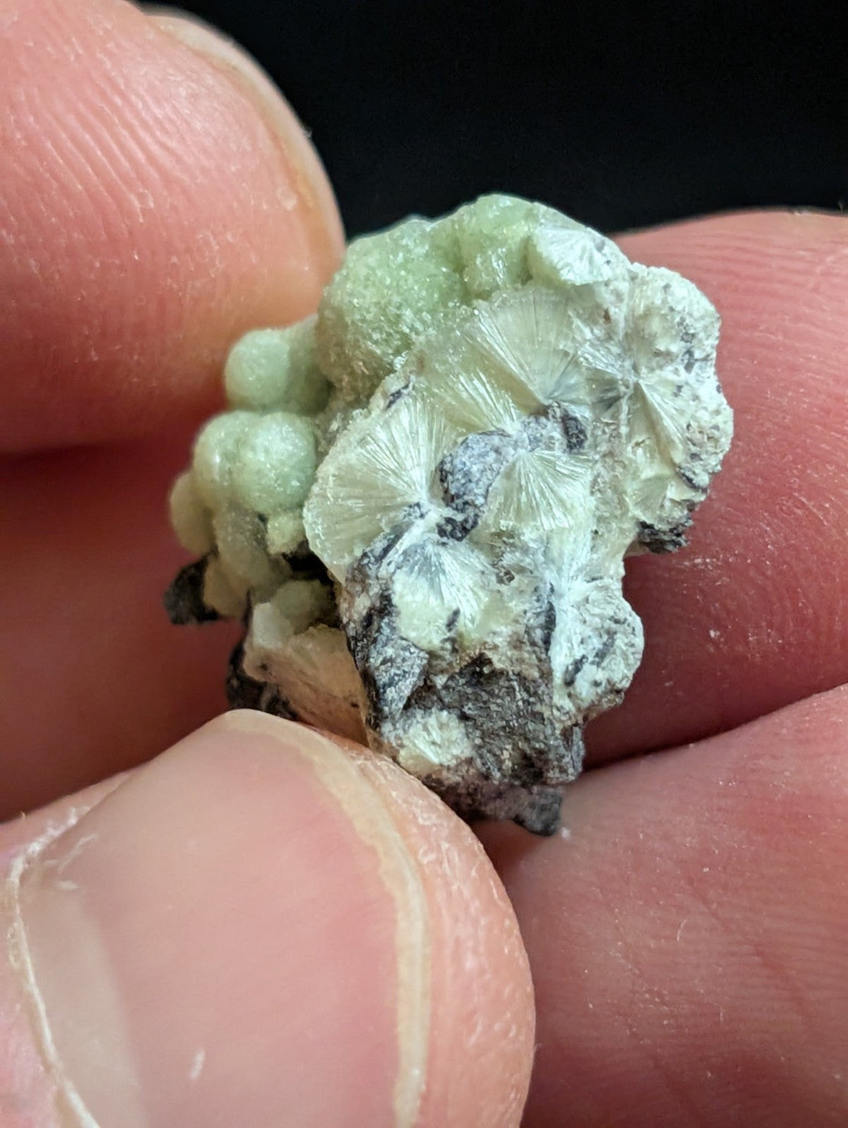 Wavellite - A + Crystallization - Old Stock - Mauldin Mountain Arkansas USA - Collectibles:Rocks Fossils &