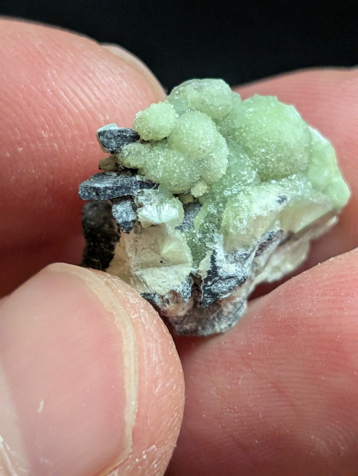 Wavellite - A + Crystallization - Old Stock - Mauldin Mountain Arkansas USA - Collectibles:Rocks Fossils &