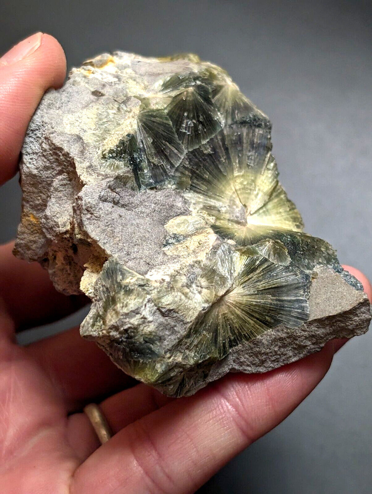 A hand holds a rough, grayish rock specimen featuring prominent green and yellow translucent crystal formations with radiating, fan-like patterns.